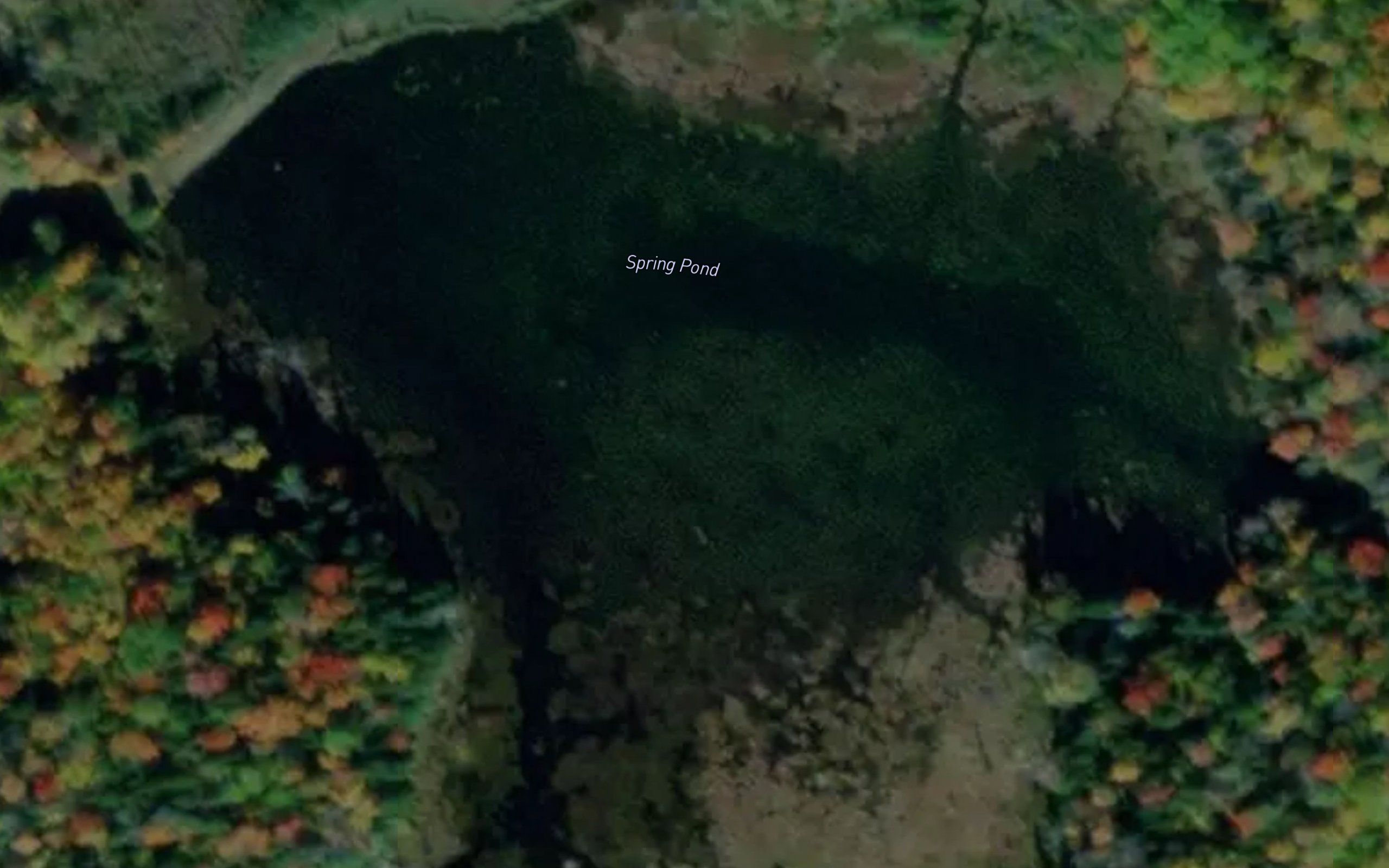 Spring Pond