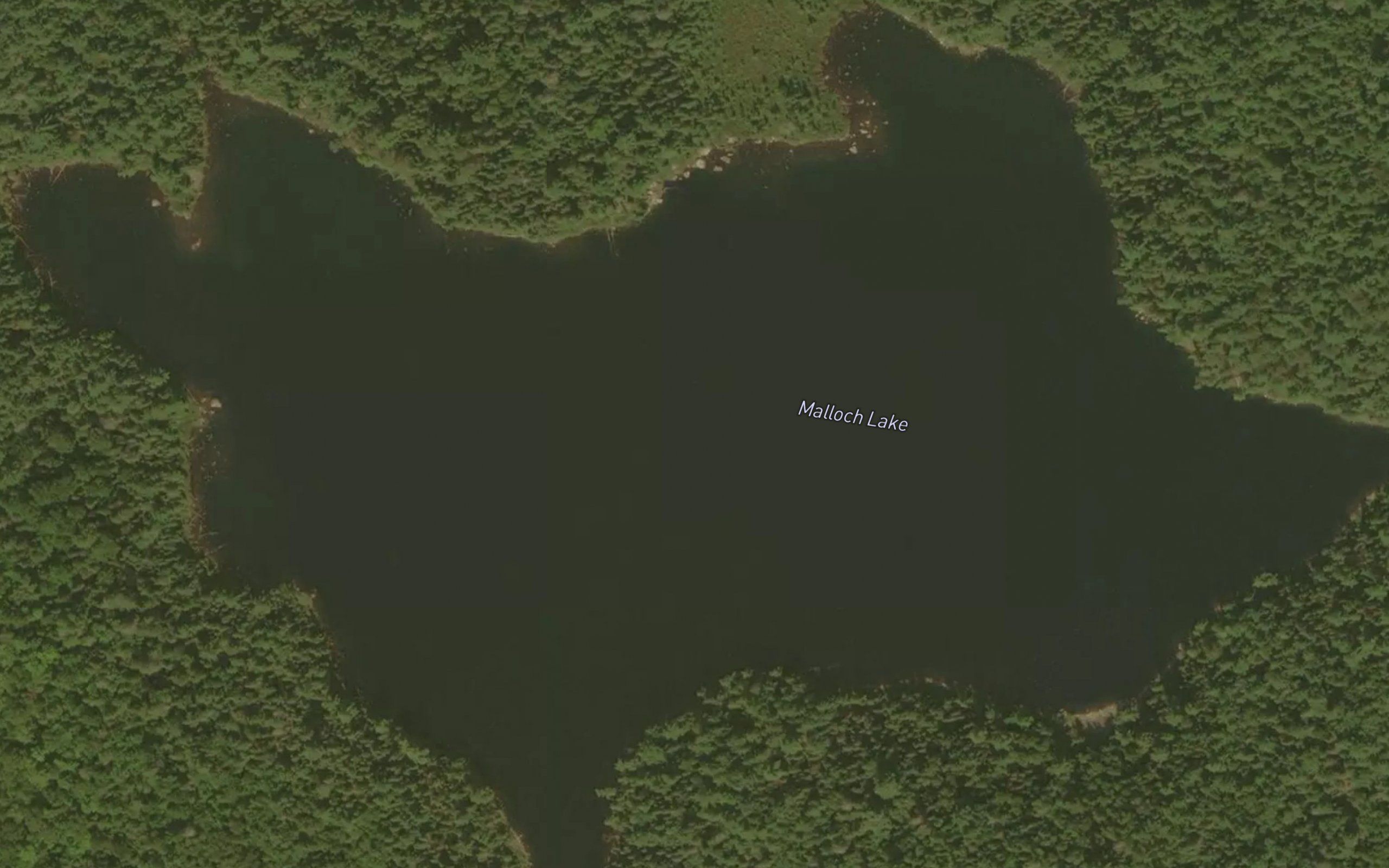 Malloch Lake