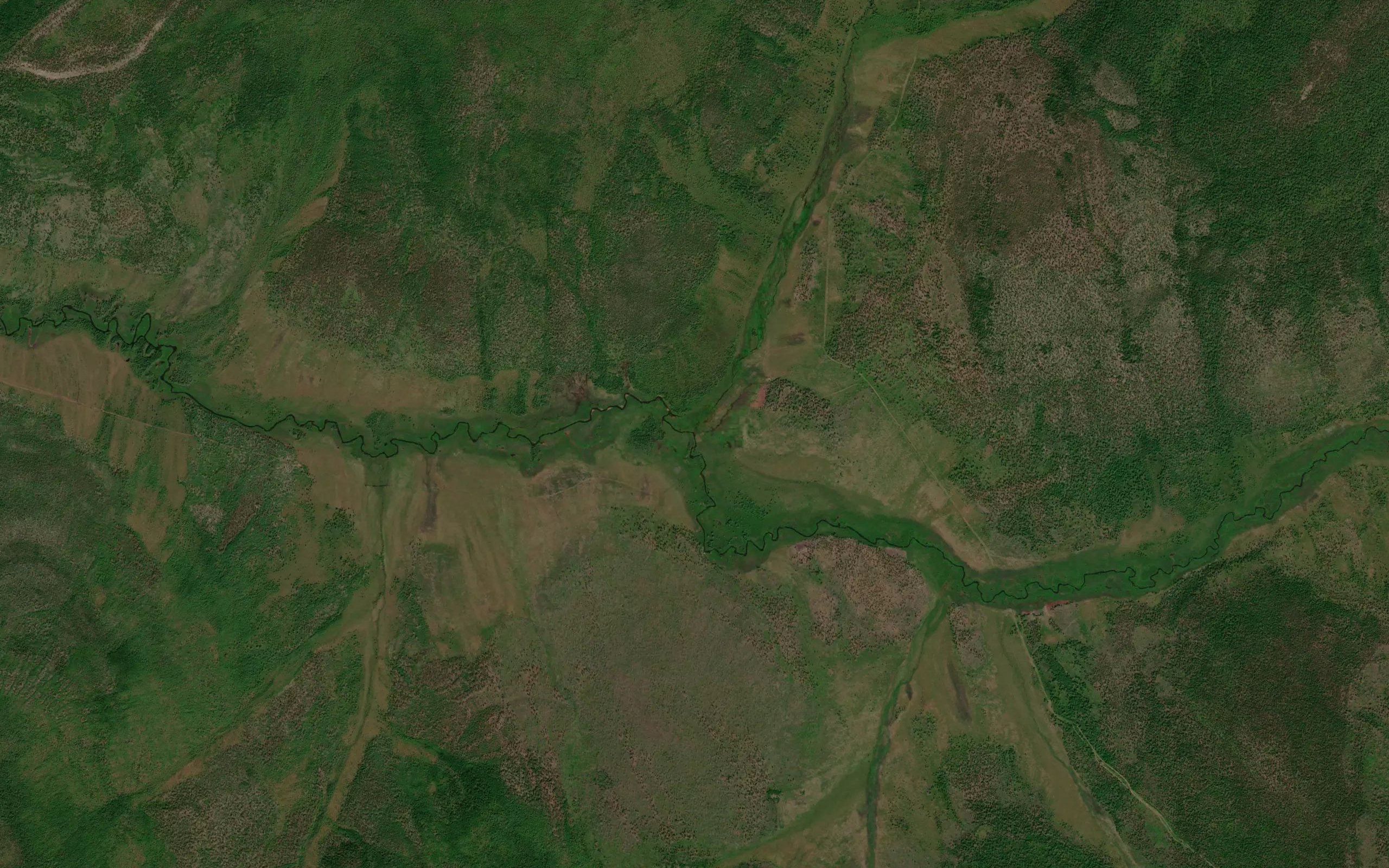Nynynga