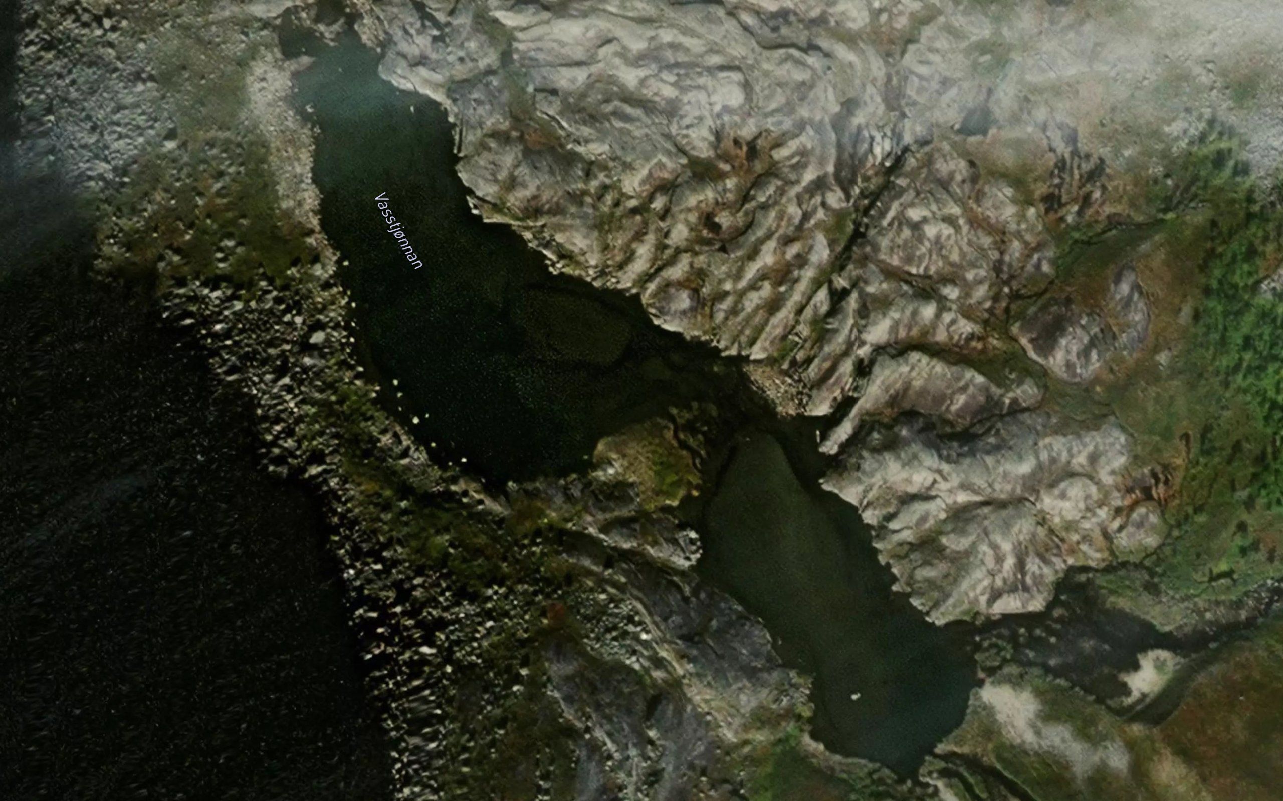 Vasstjornan