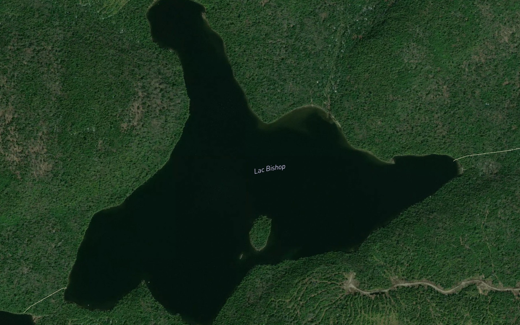 Satellite map of the Lac Bishop