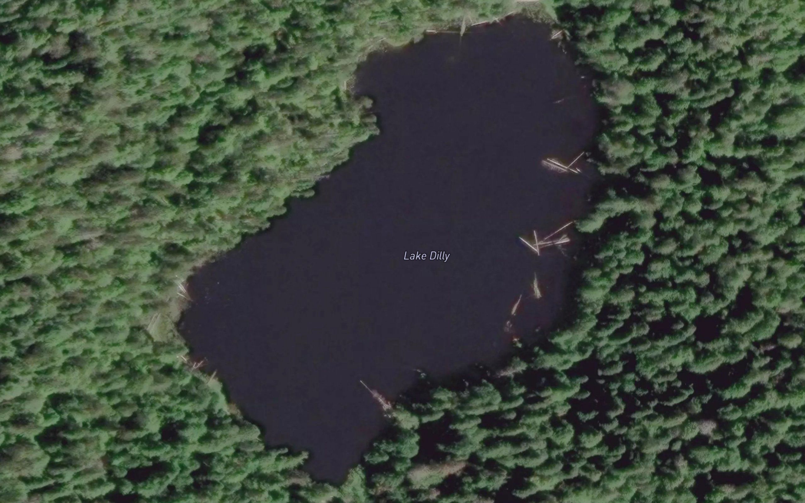 Lake Dilly