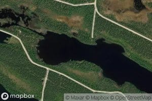 Matalaselka
