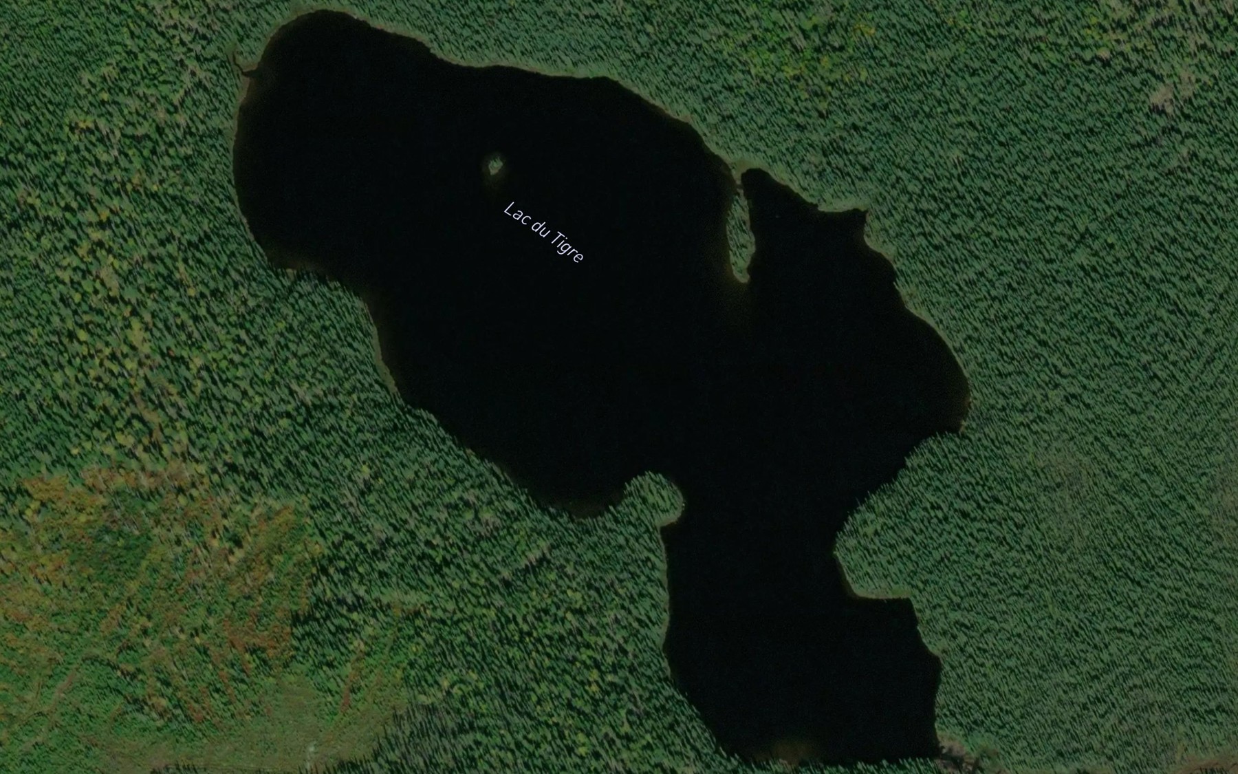 Satellite map of the Lac du Tigre