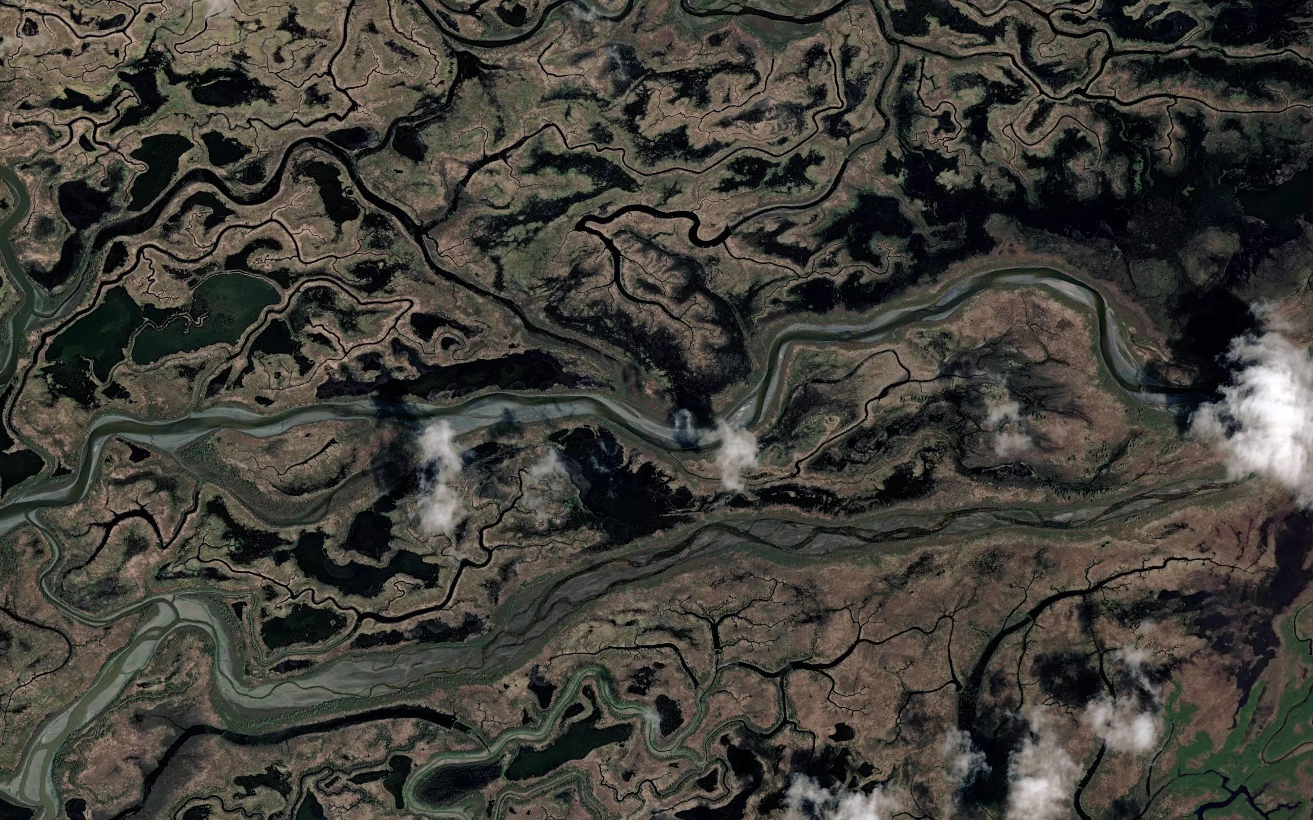 Pete Dahl Slough