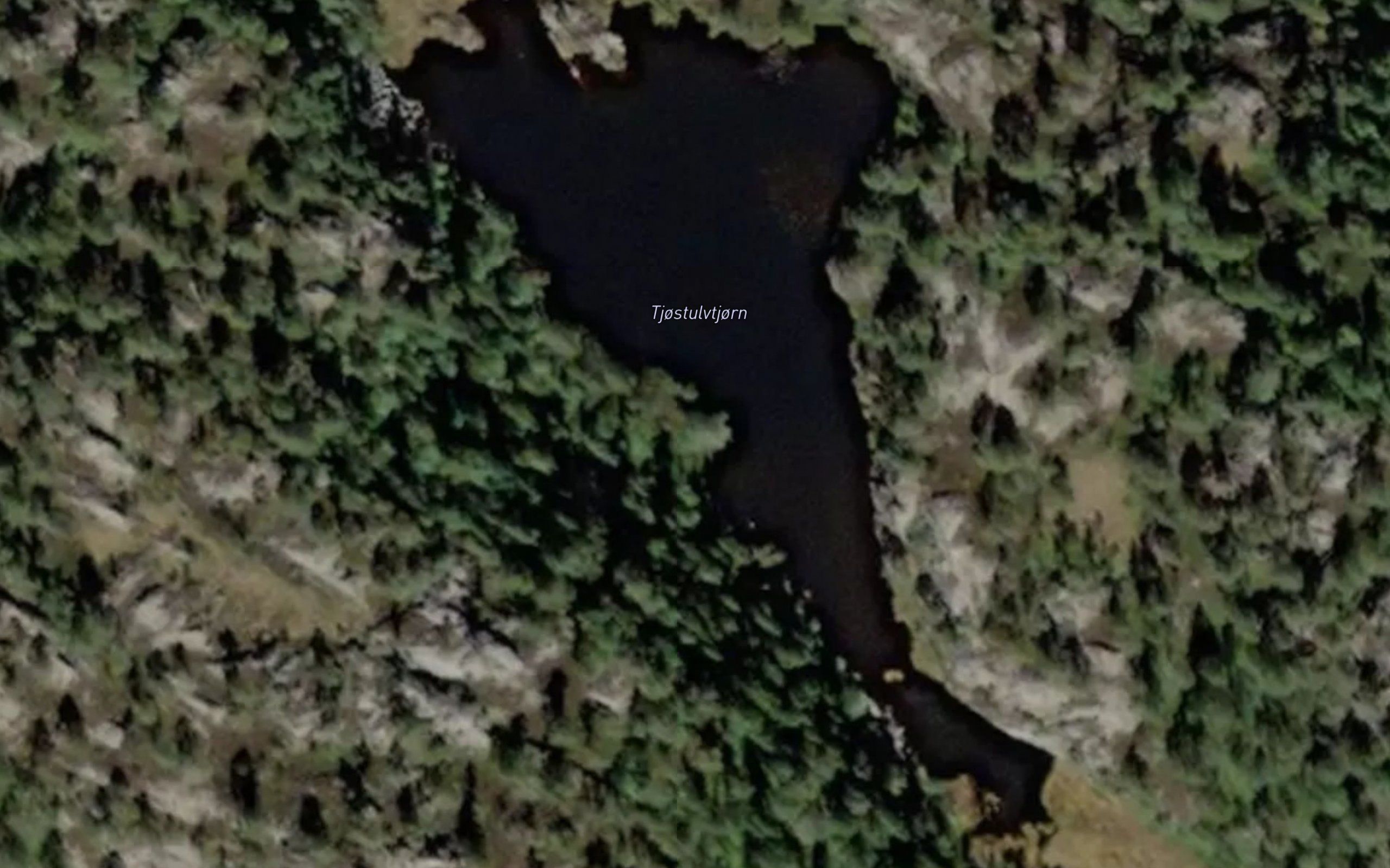Tjostolfstjenn