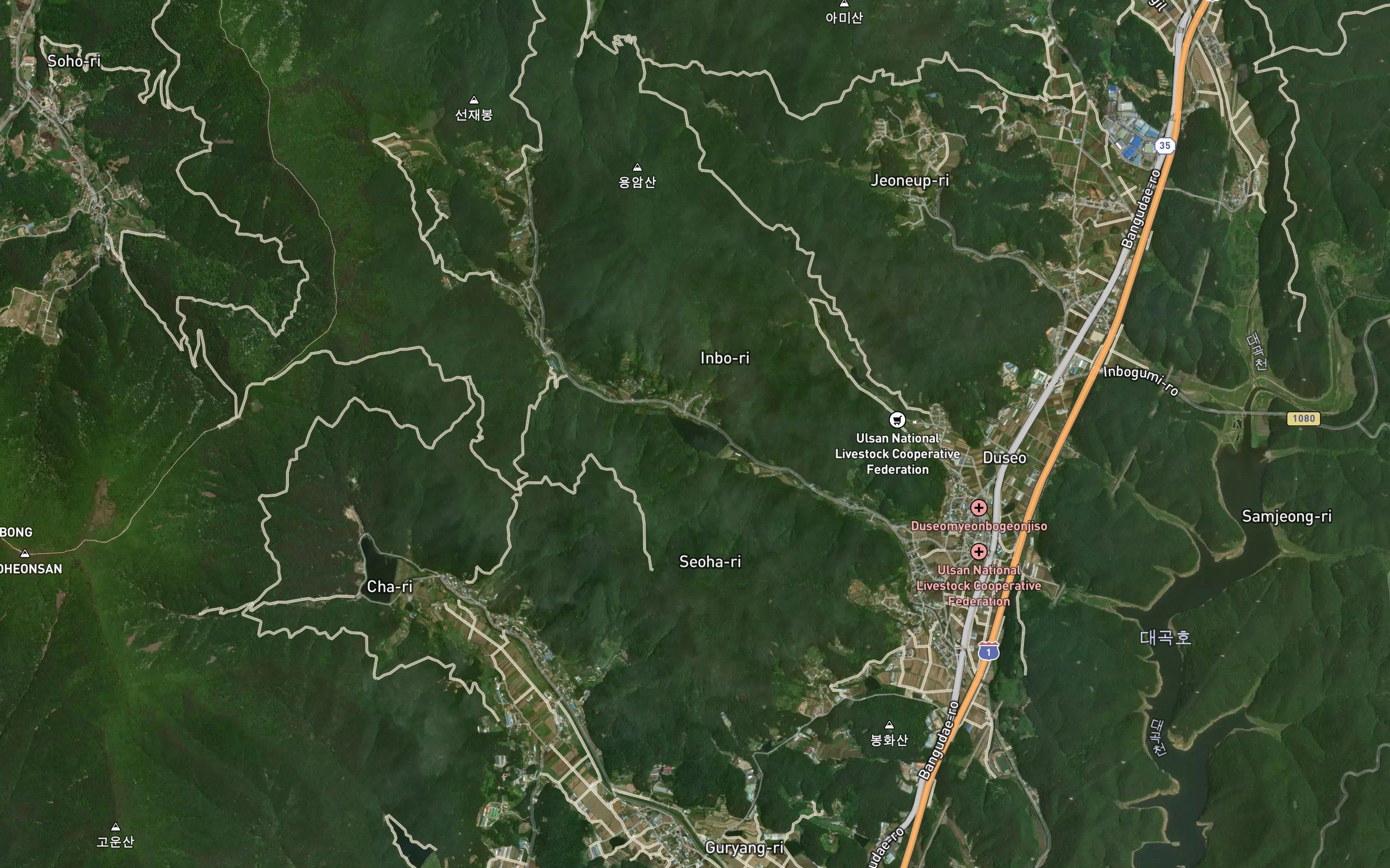 Inbojeosuji