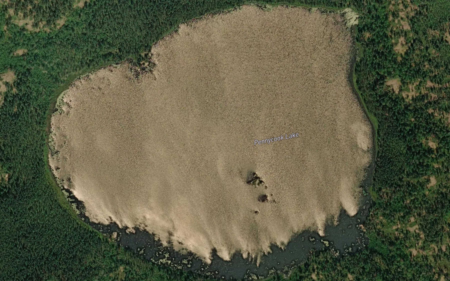 Satellite map of the Pennycook Lake