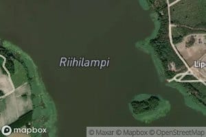 Riihilampi