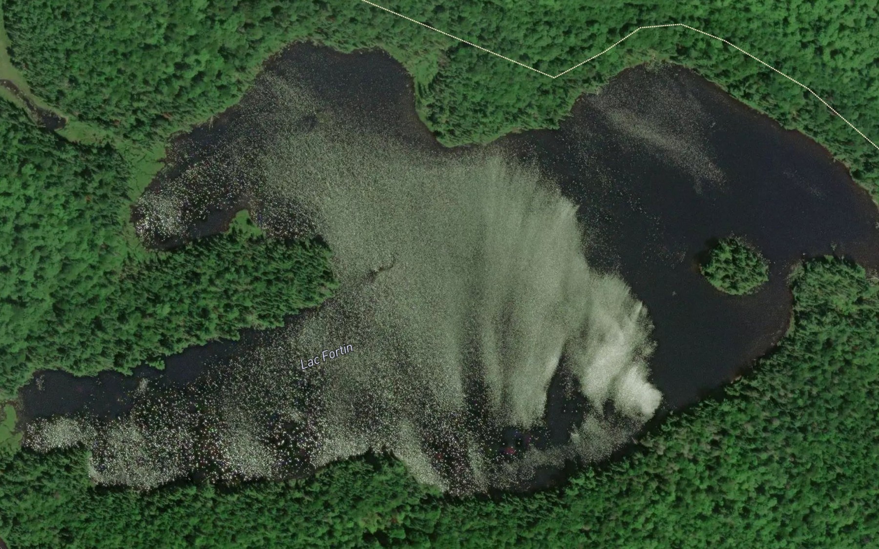 Satellite map of the Lac Fortin