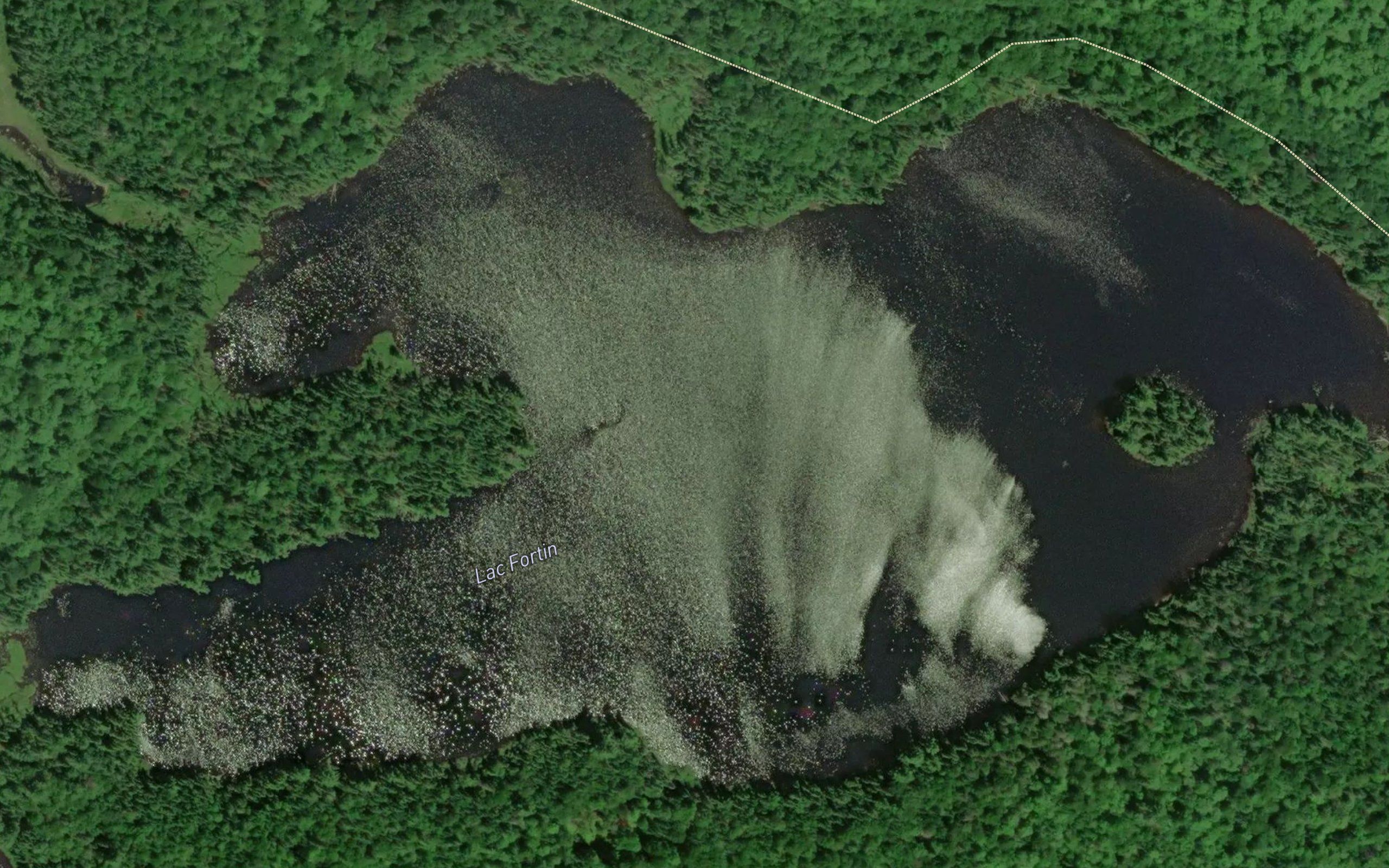 Lac Fortin