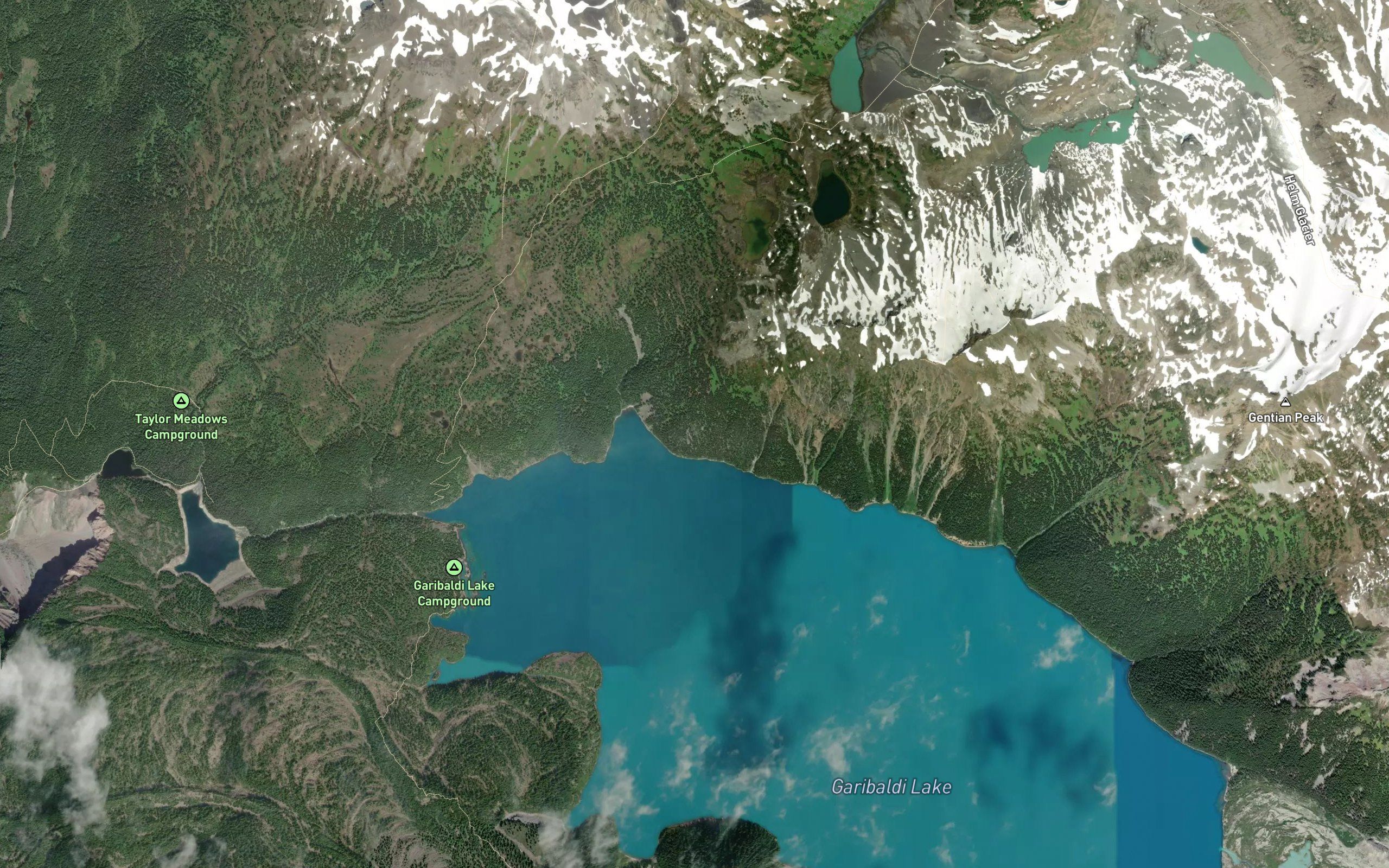 Mimulus Creek