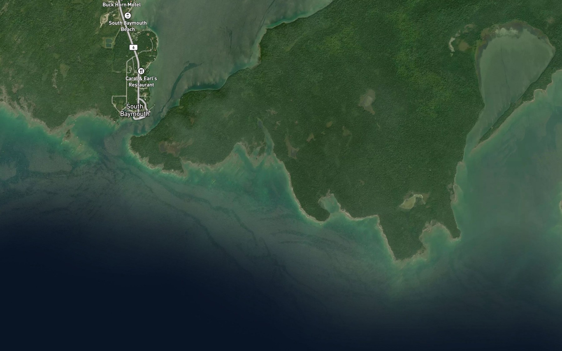 Satellite map of the Long Gut