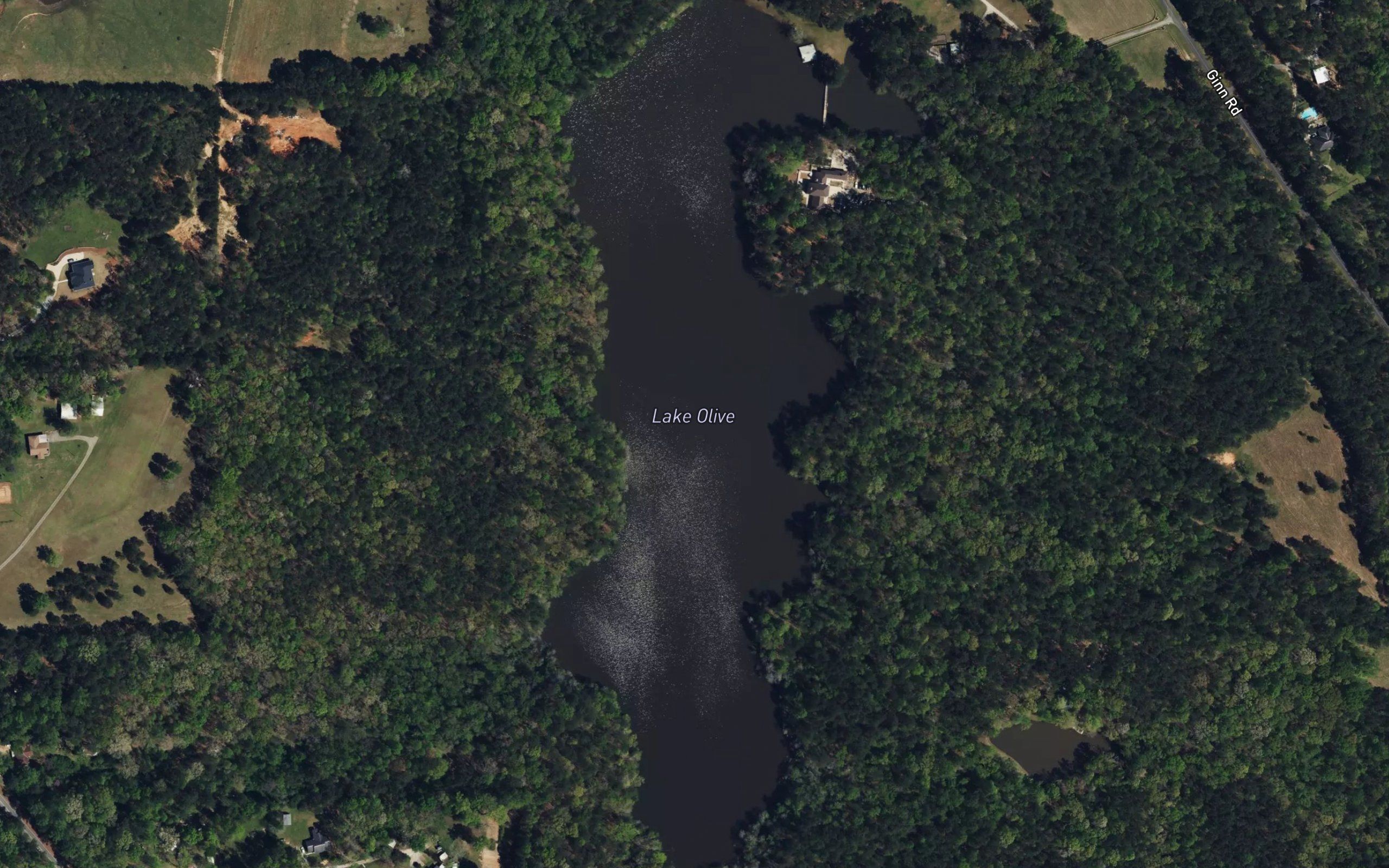 Lake Olive