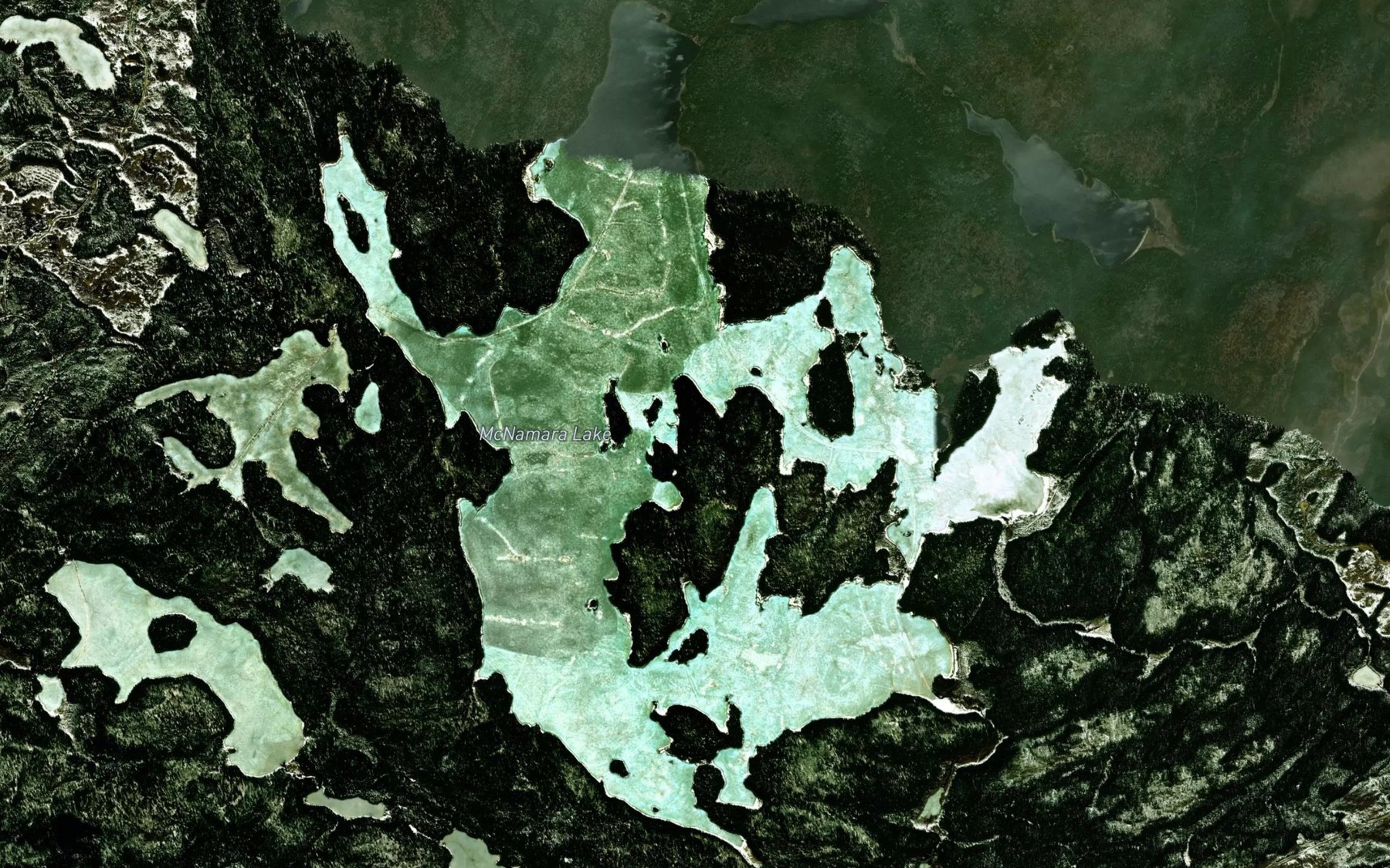 Satellite map of the McNamara Lake