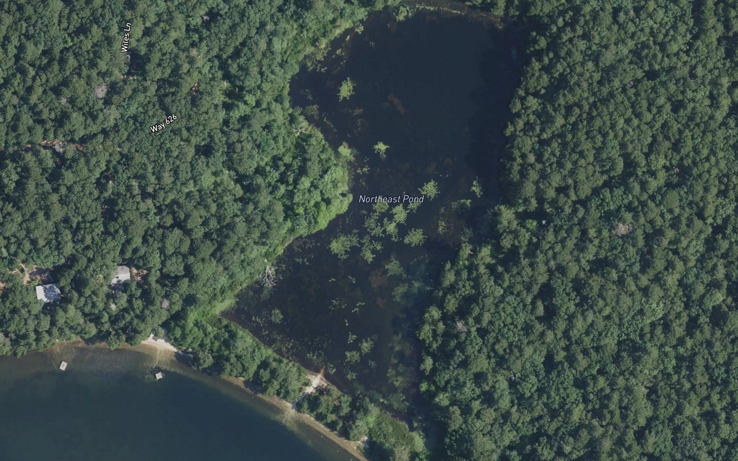 Northeast Pond