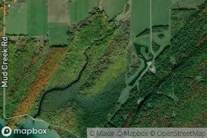 Mud Creek