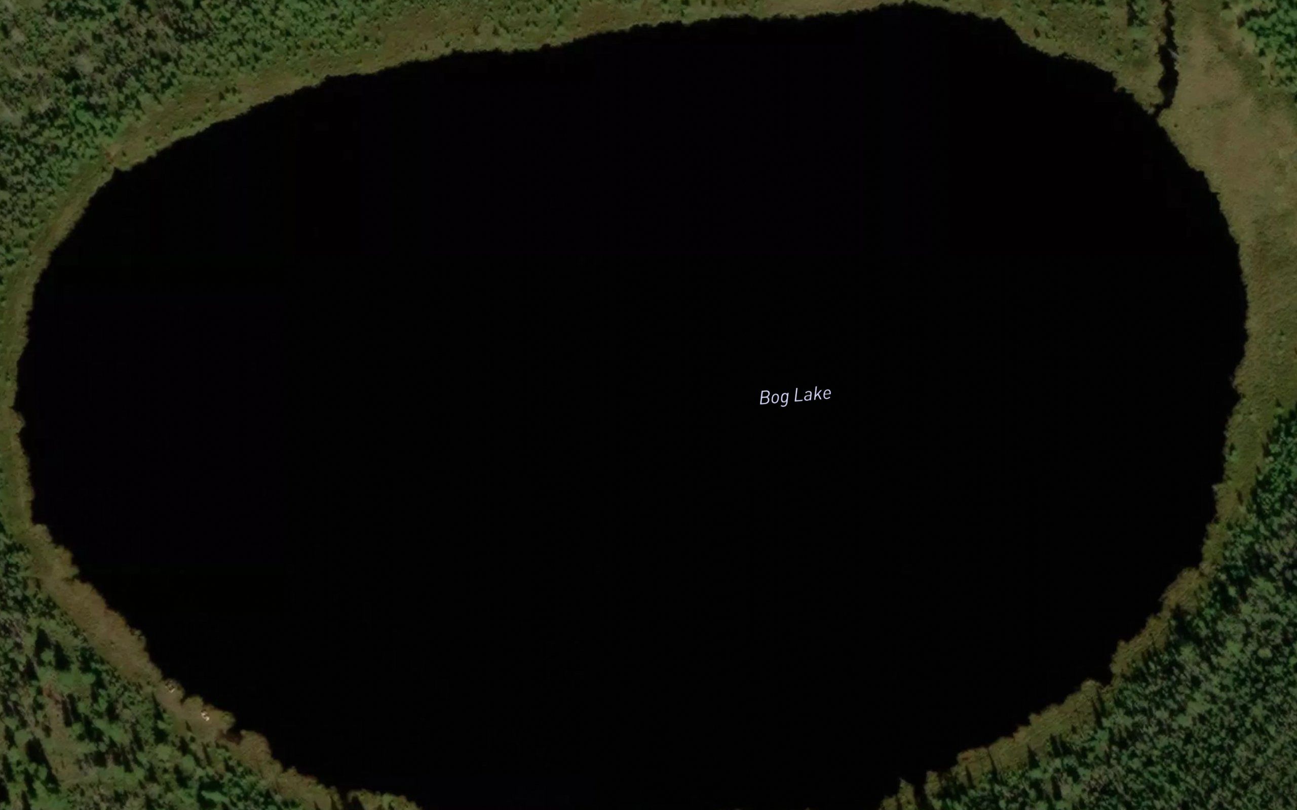 Bog Lake