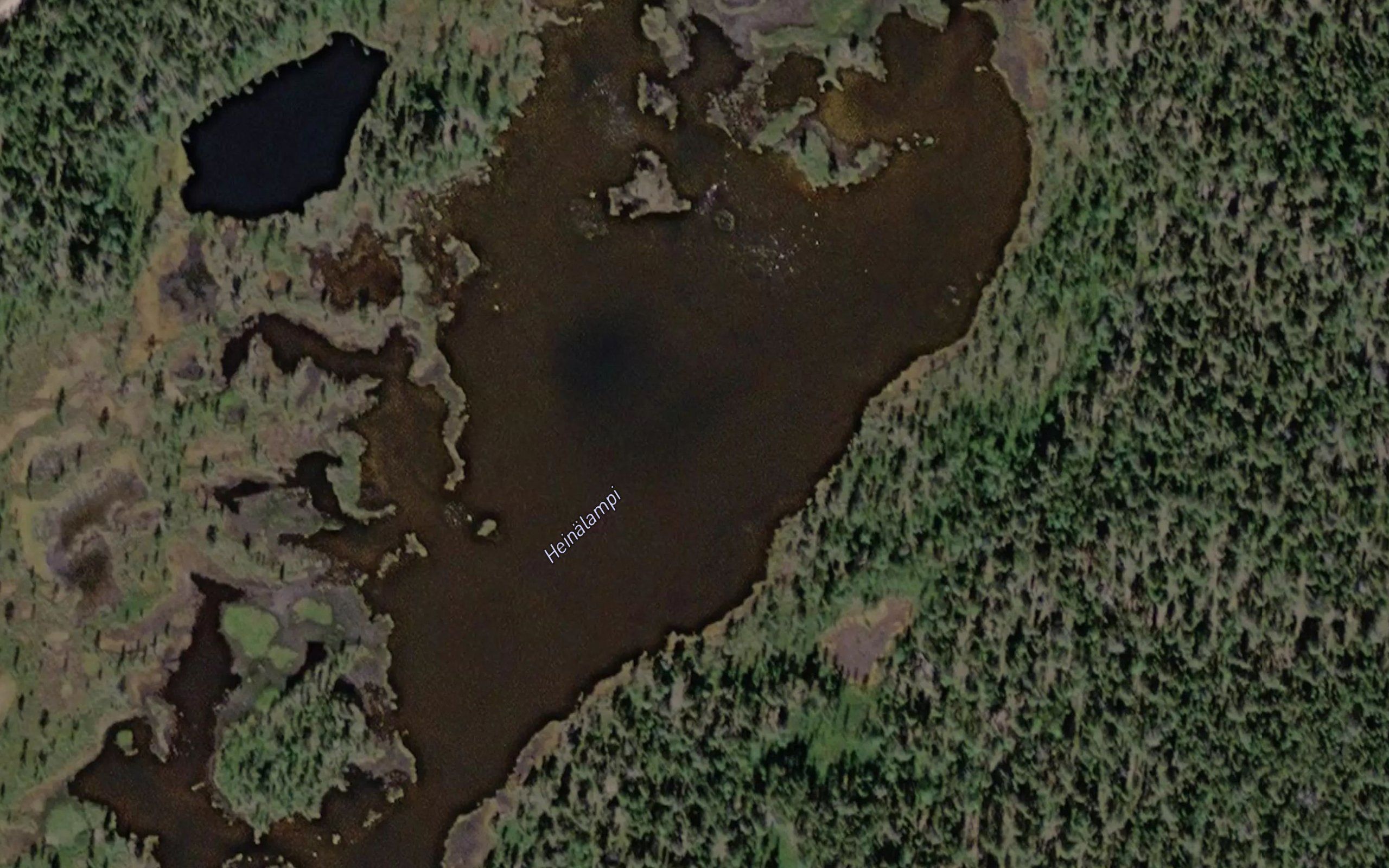 Heinalampi