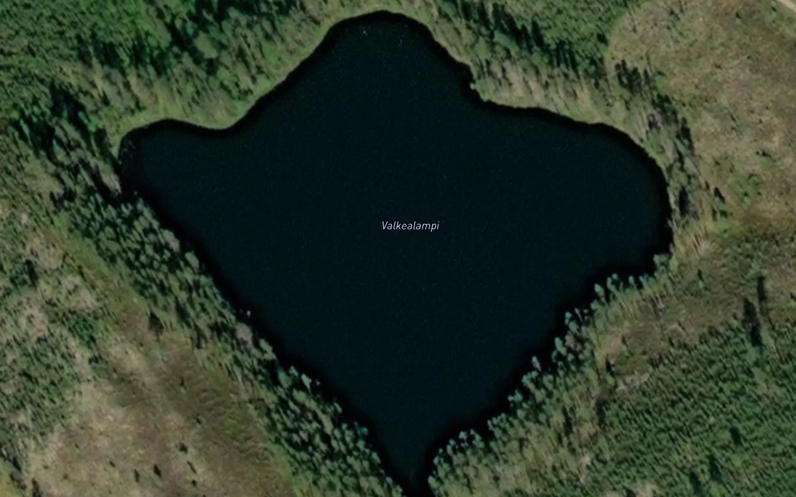 Valkealampi