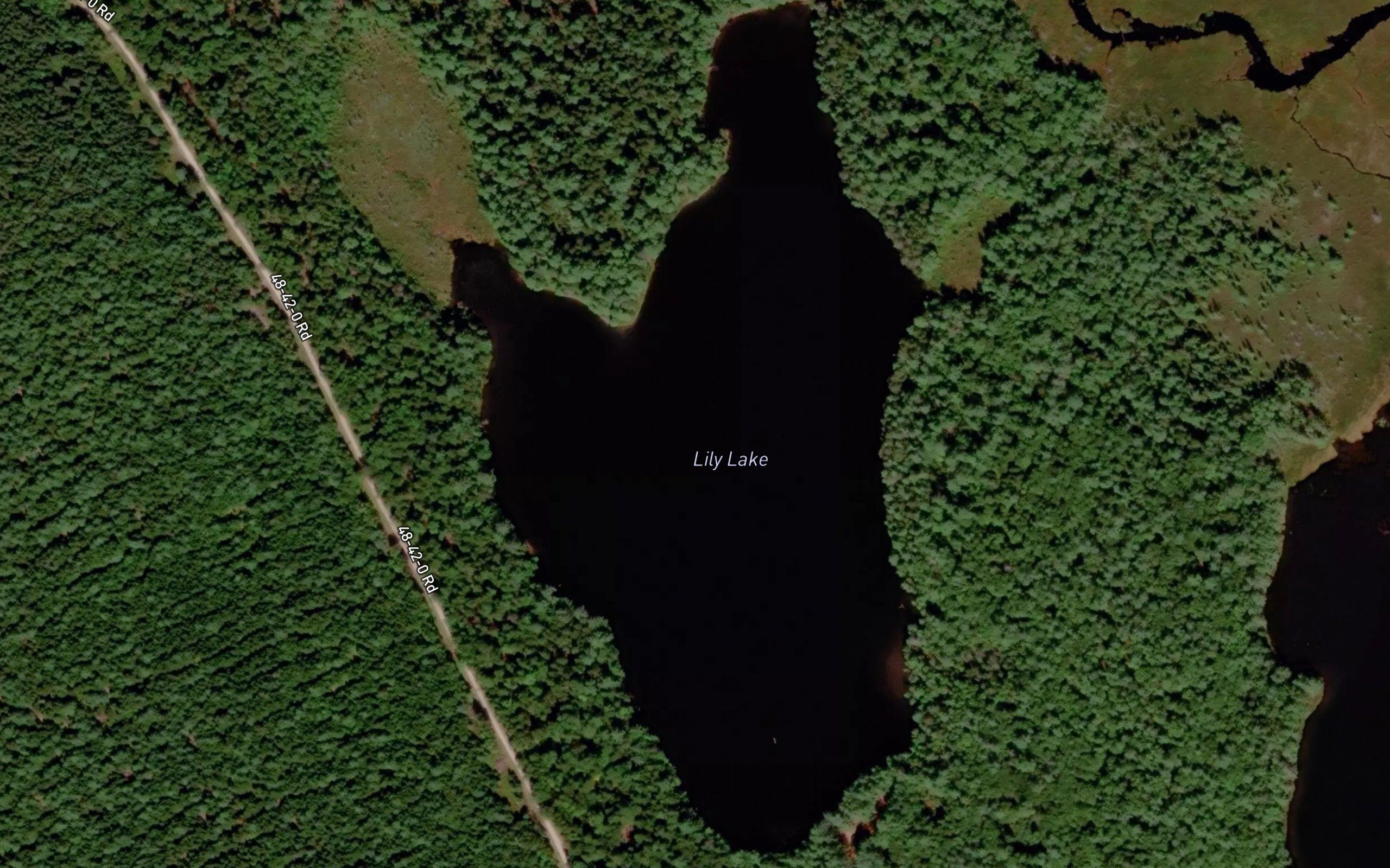 Lily Lake