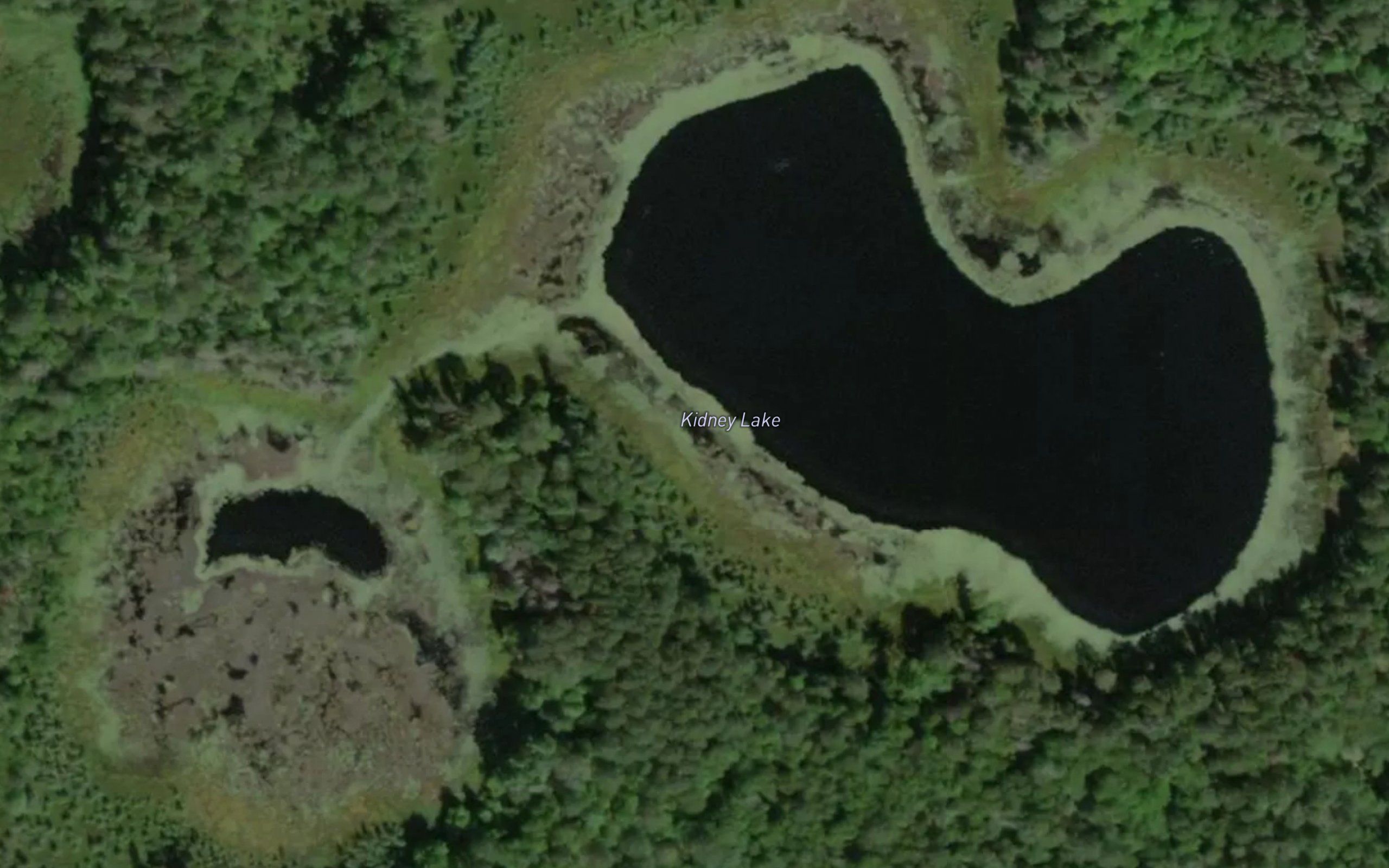 Kidney Lake