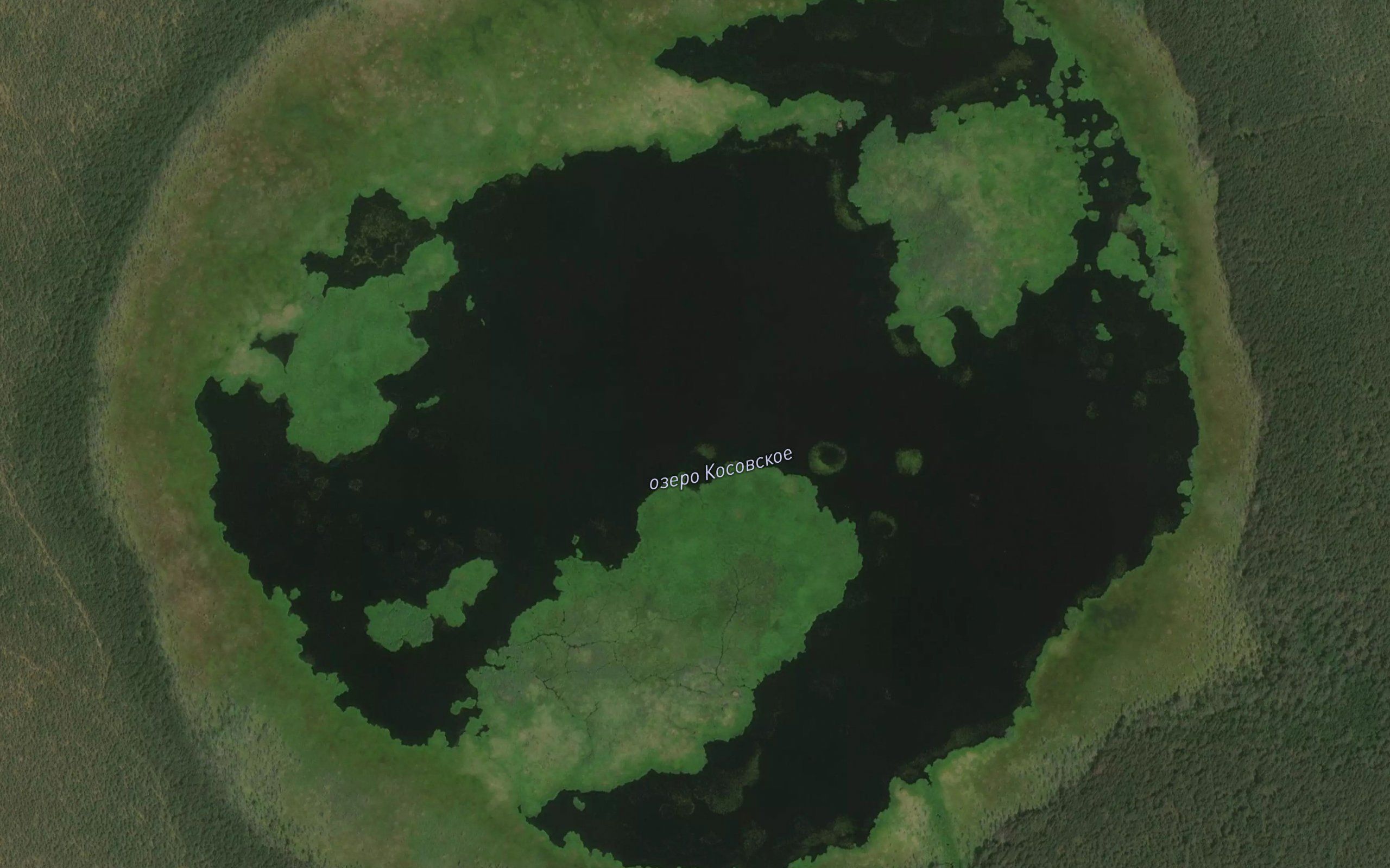 Ozero Kosovskoye