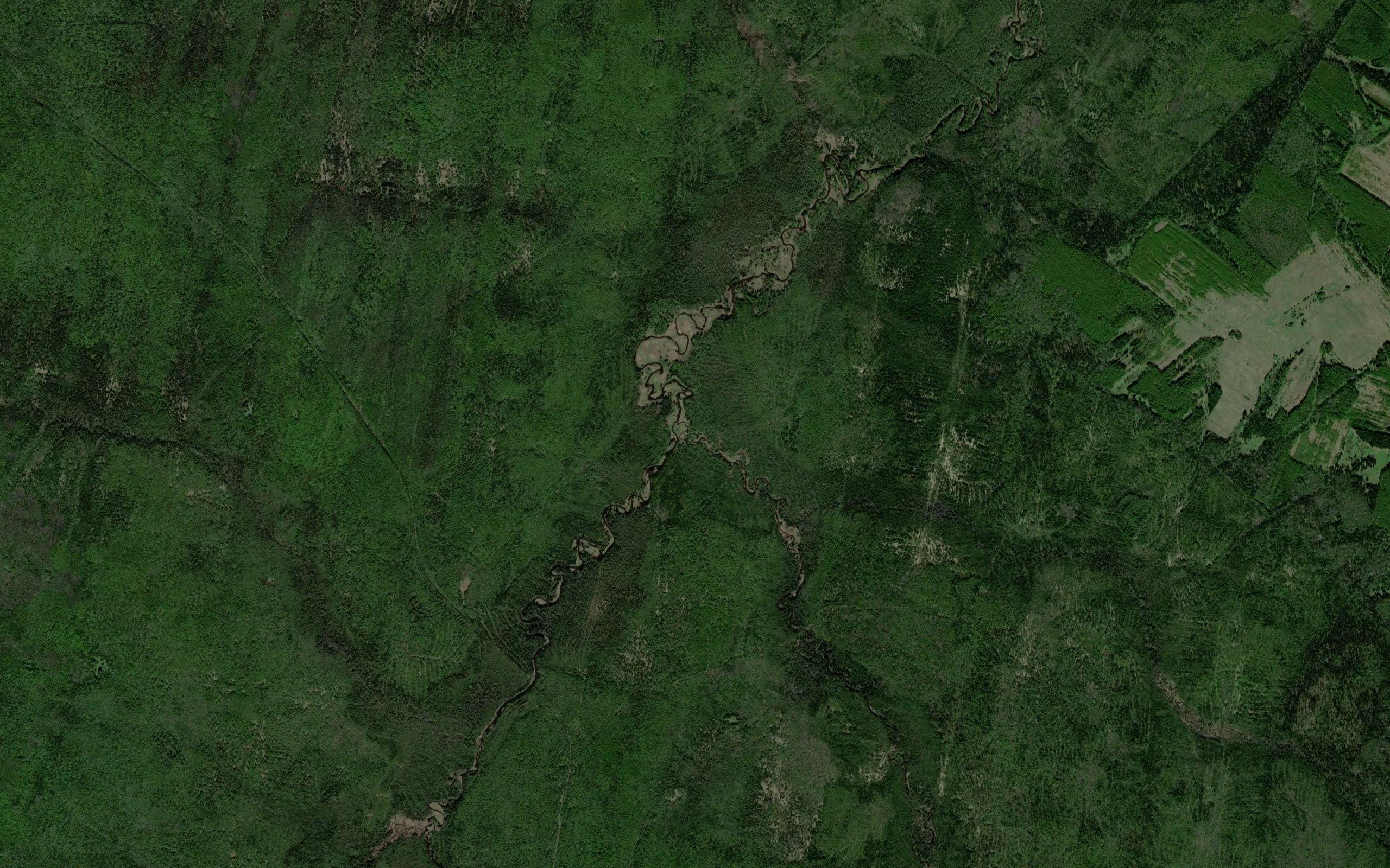 Srednyaya Tamyshevka