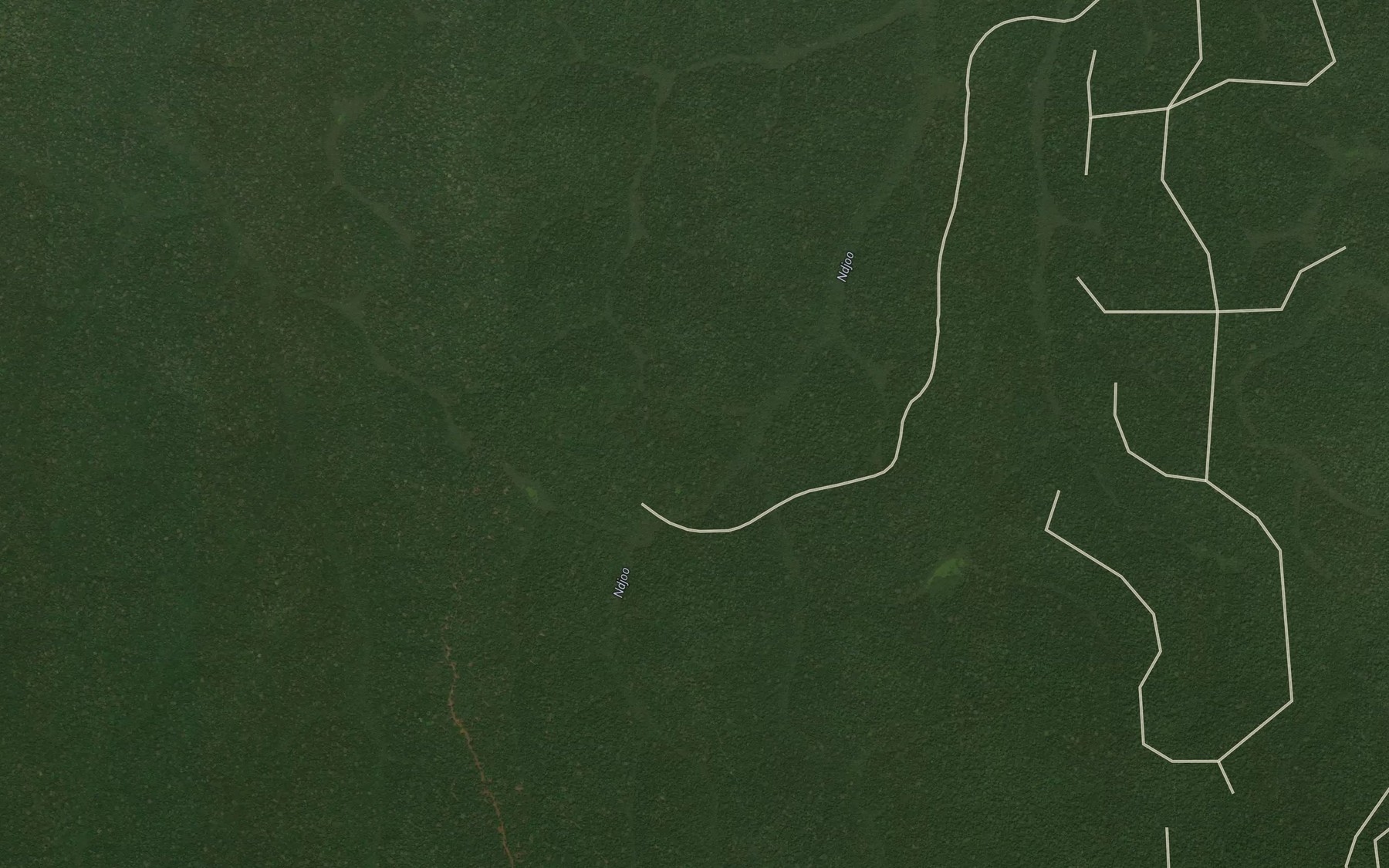 Satellite map of the Tiel