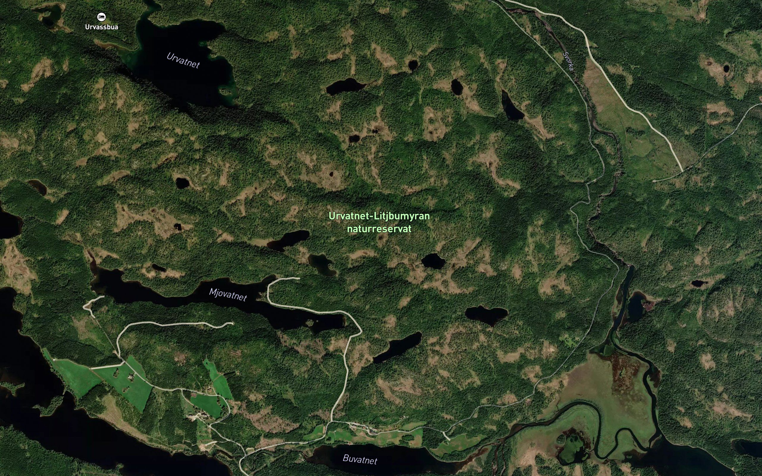 Glasmakertjonna