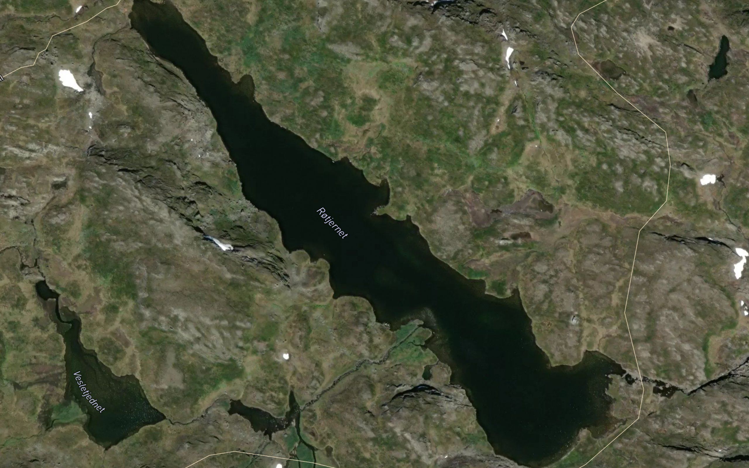 Rotjernet