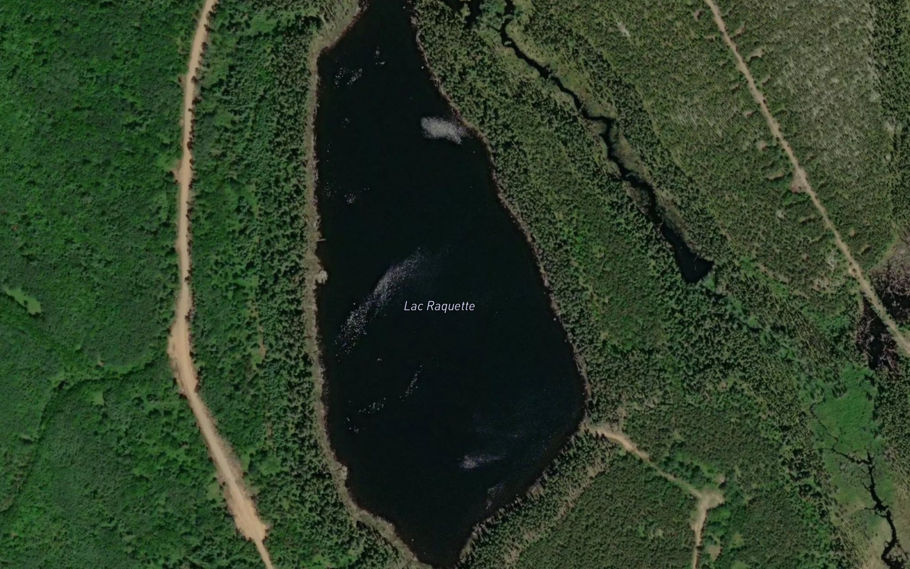 Satellite map of the Lac Raquette