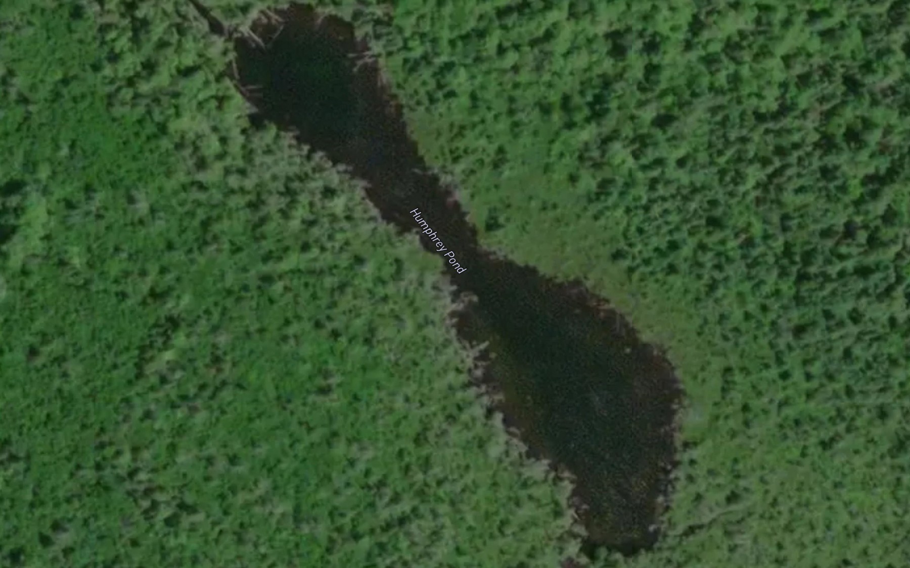 Satellite map of the Humphrey Pond