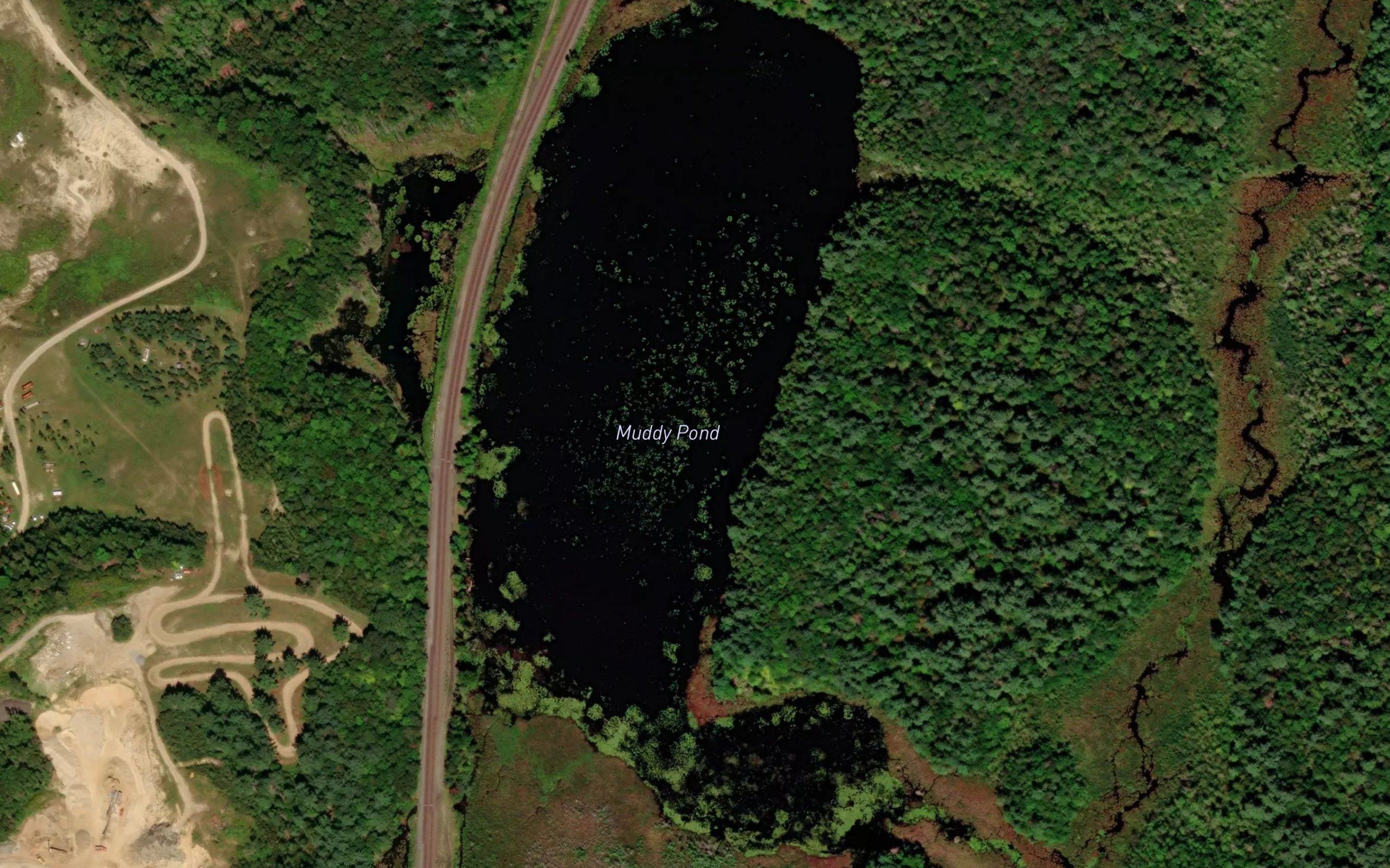 Muddy Pond