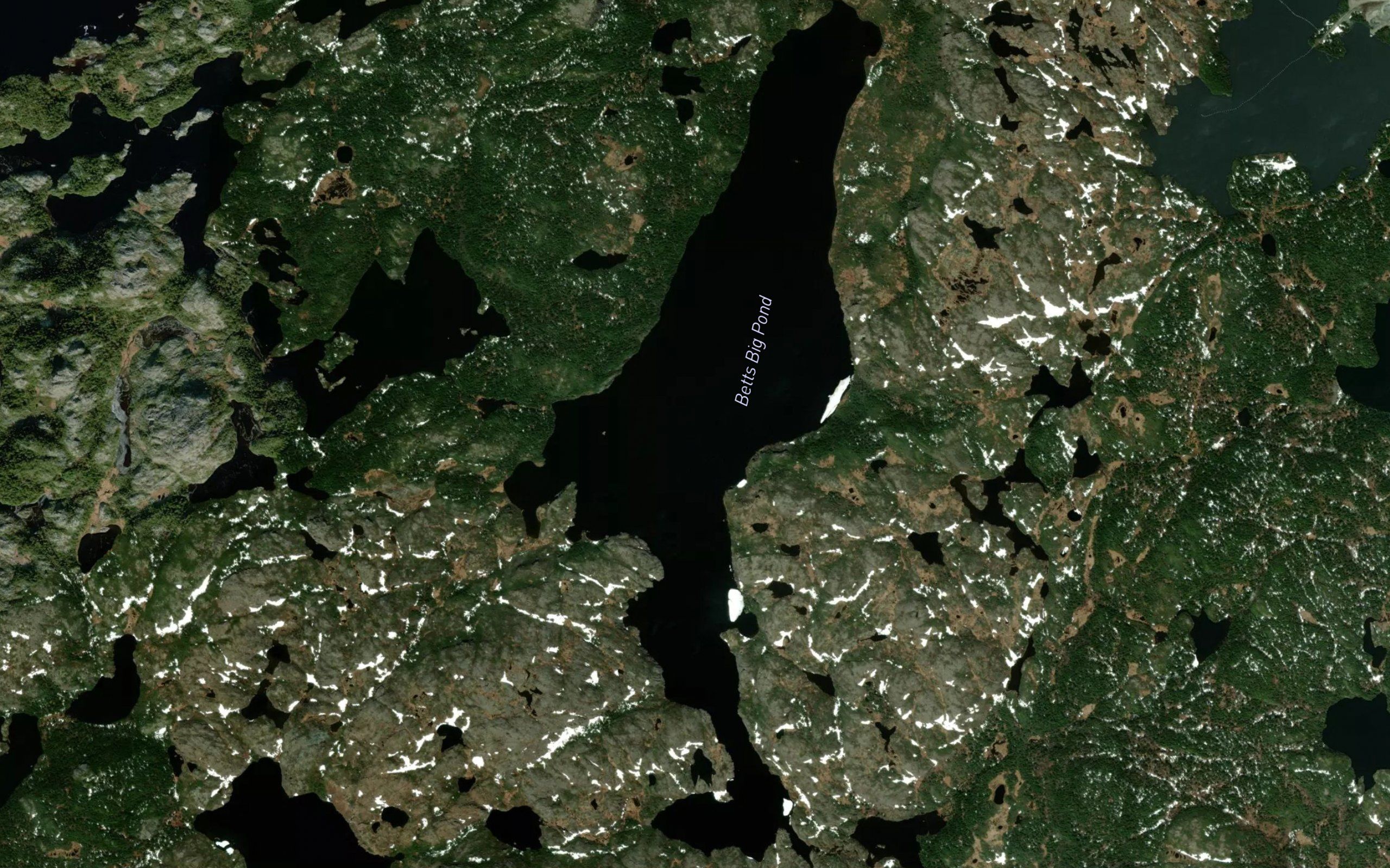 Betts Big Pond