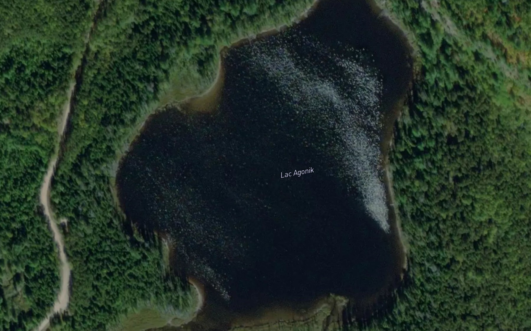 Satellite map of the Lac Agonik