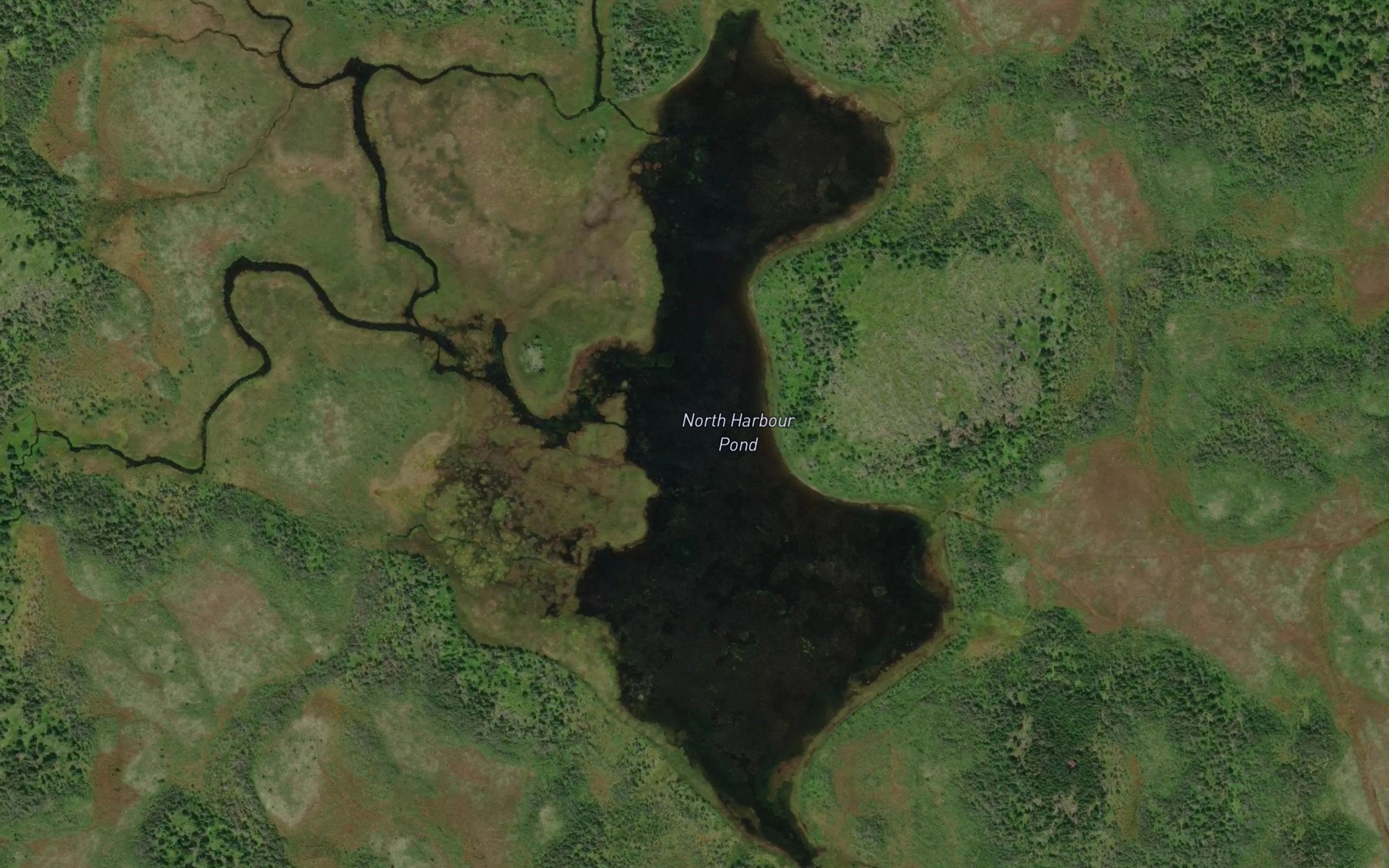 Satellite map of the North Harbour Pond