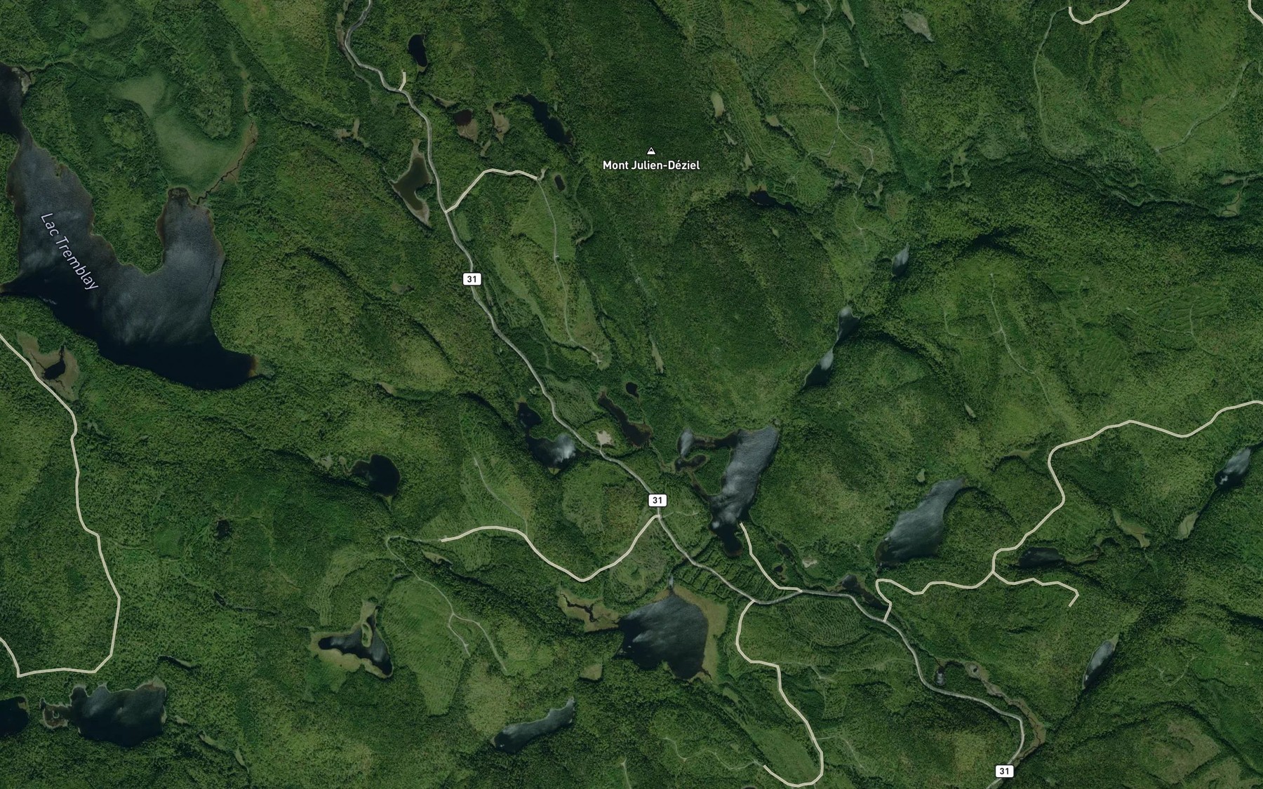 Satellite map of the Lac Fourchu