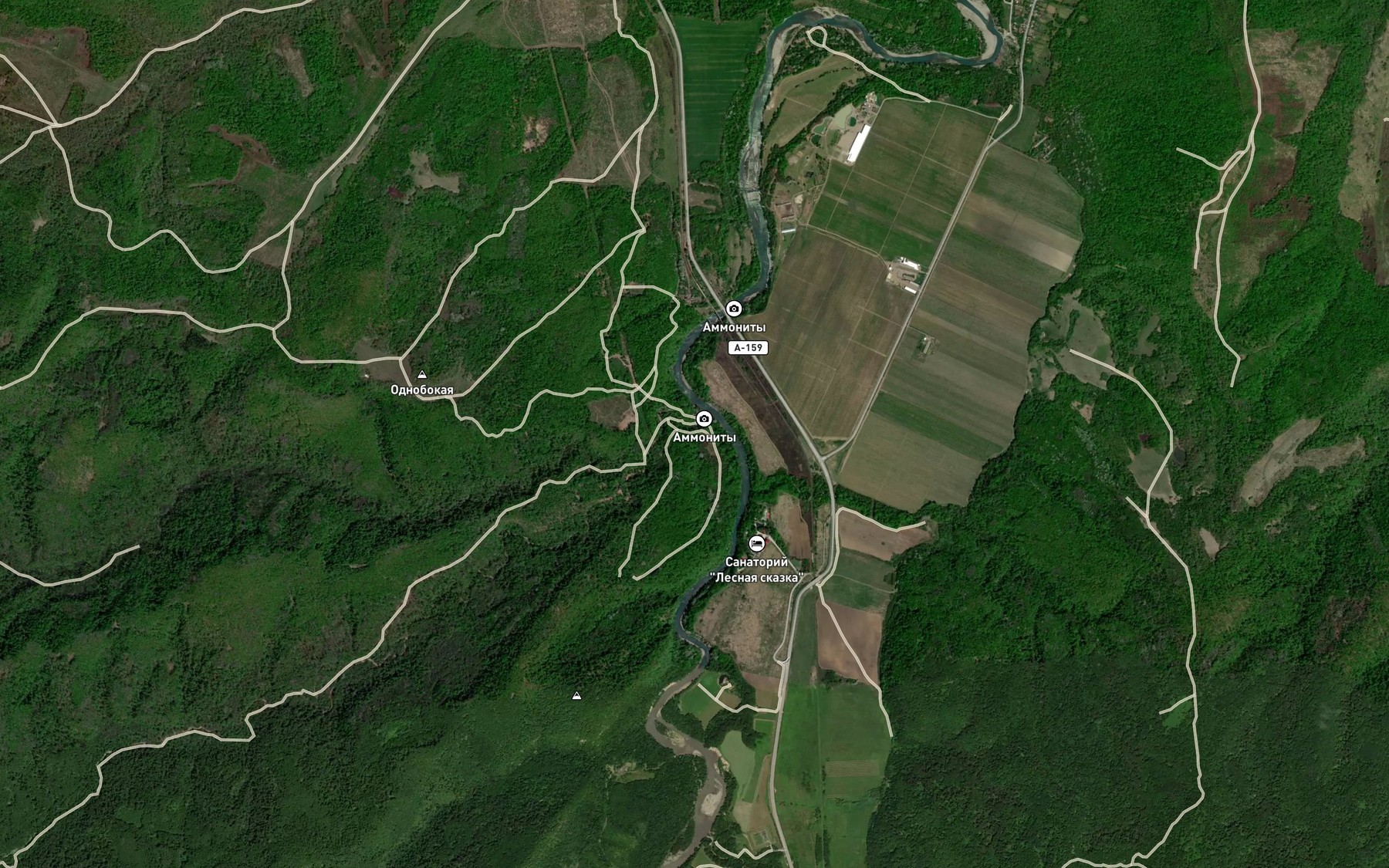 Satellite map of the Polkovnitskaya