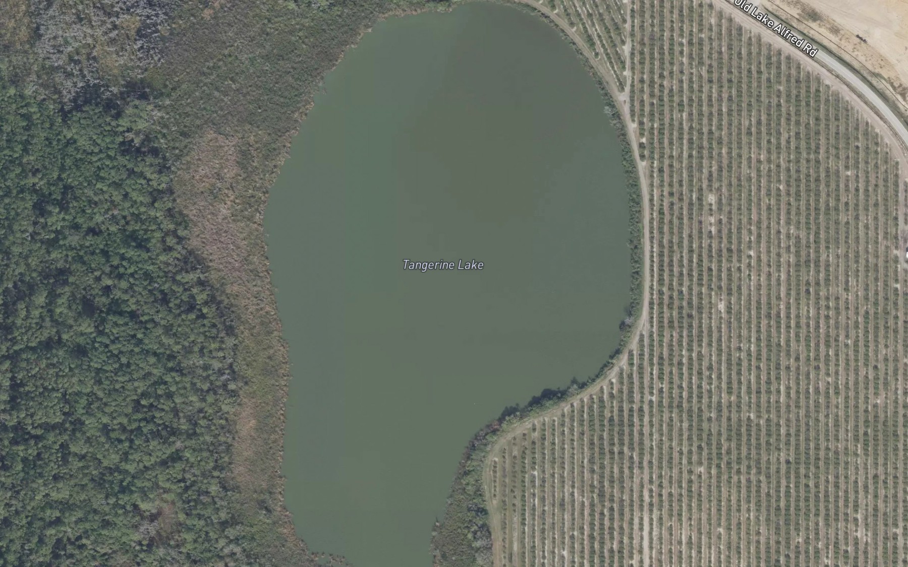 Satellite map of the Tangerine Lake