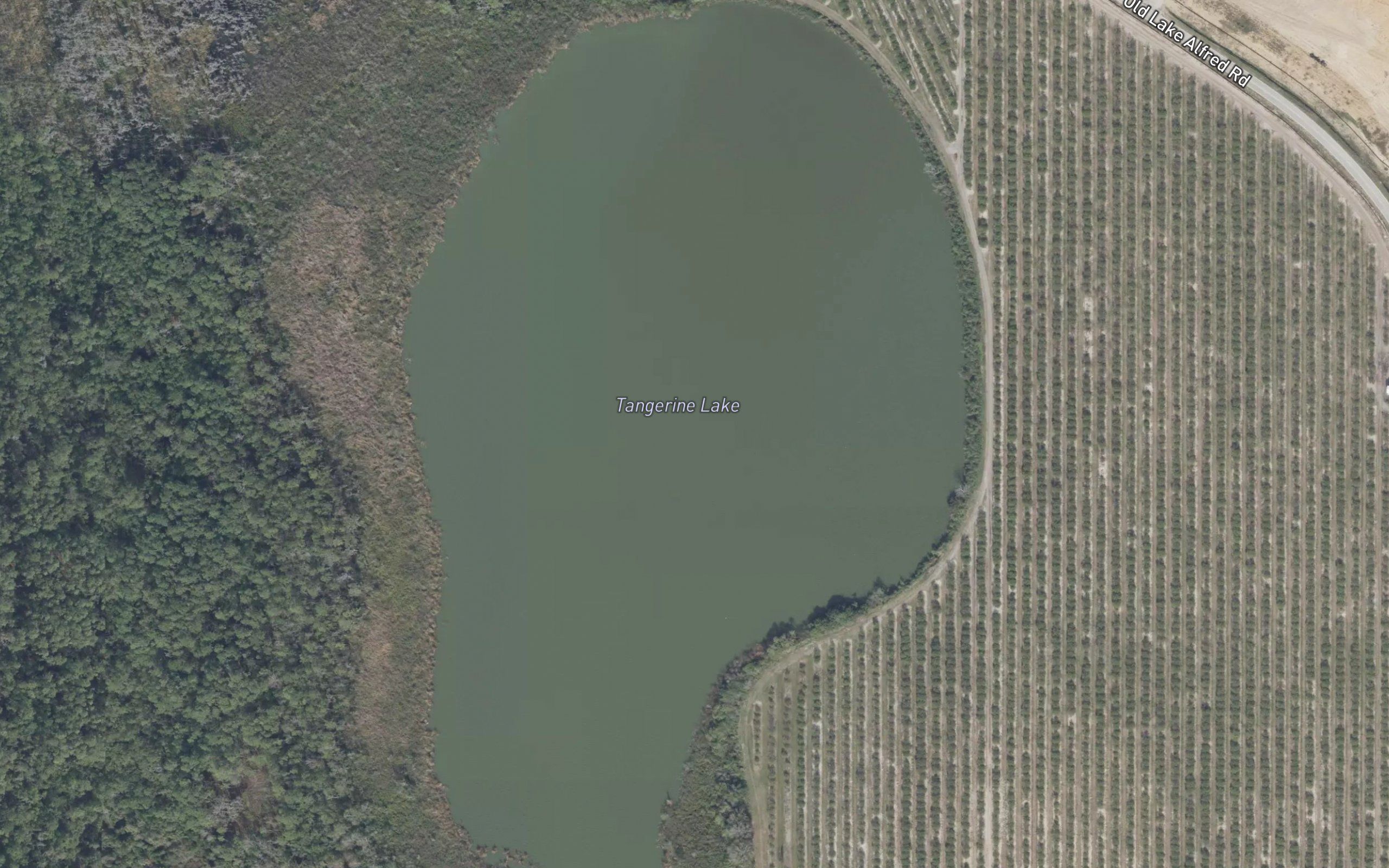 Tangerine Lake