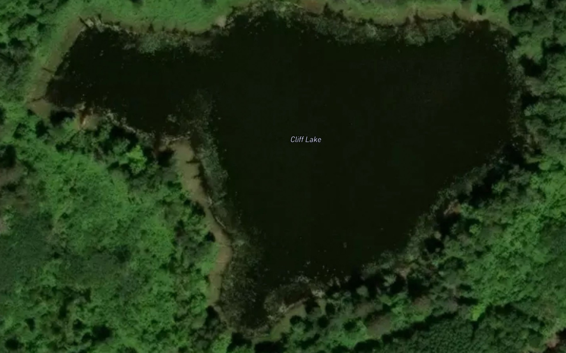 Satellite map of the Cliff Lake
