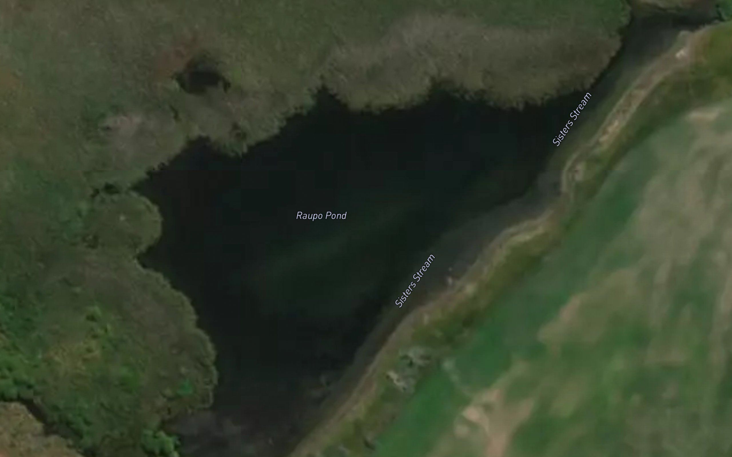 Raupo Pond