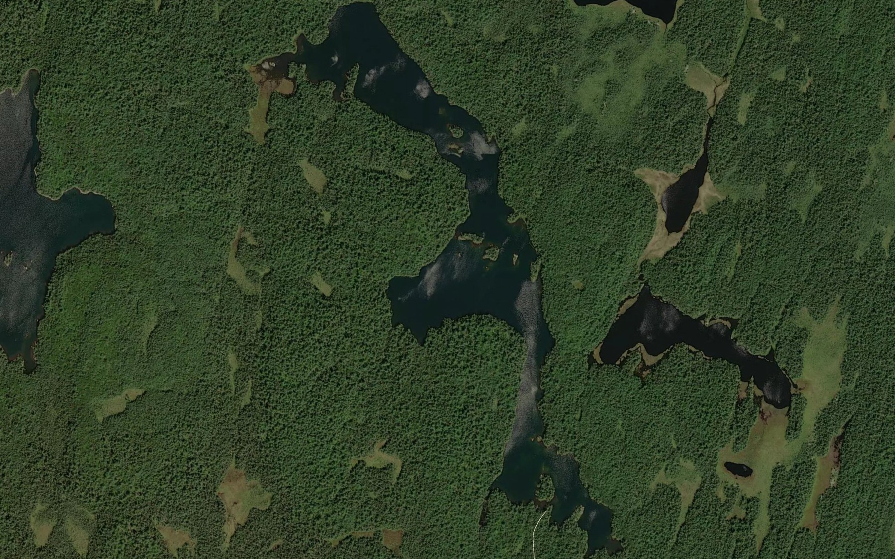 Satellite map of the Elbow Lake