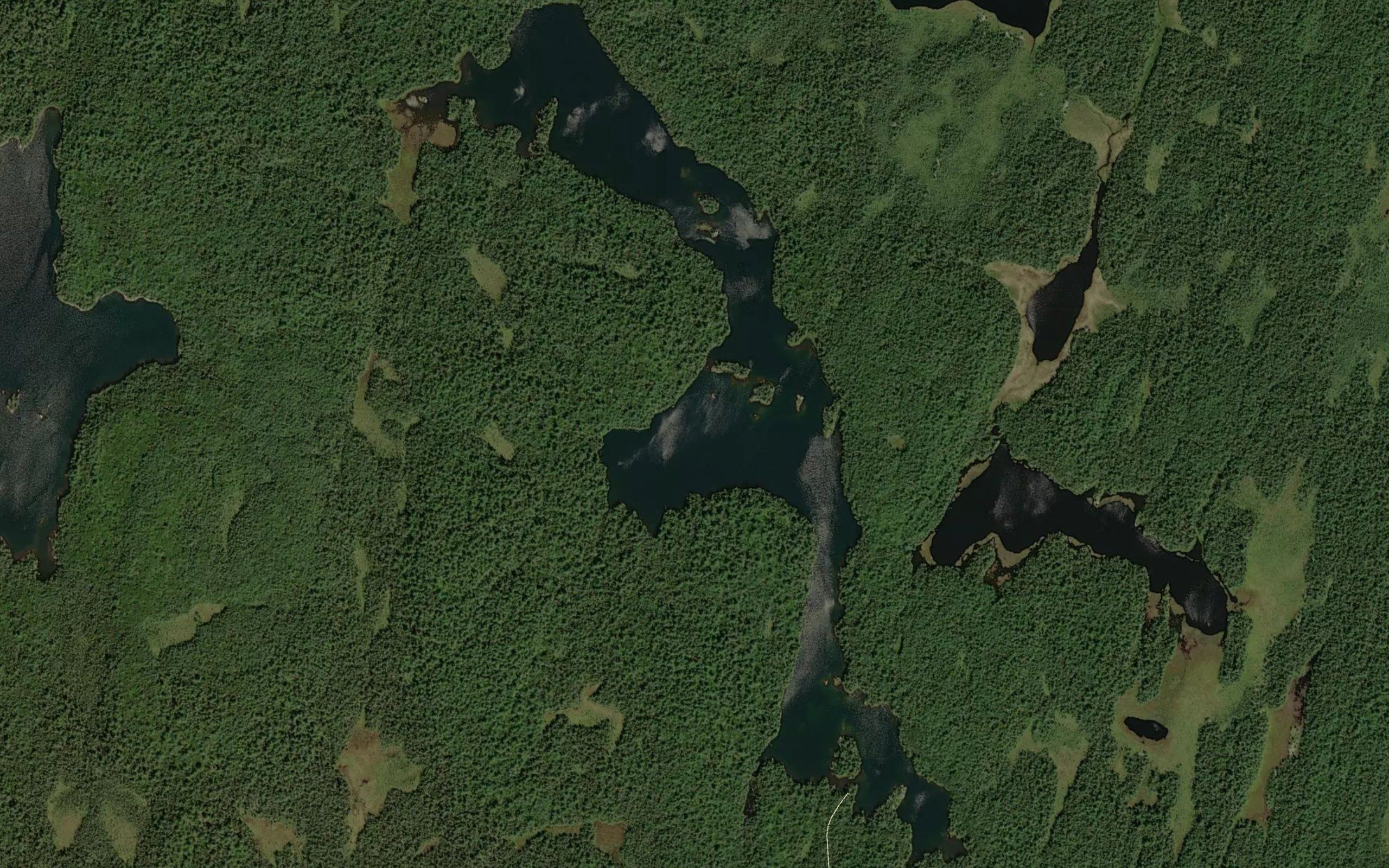 Elbow Lake