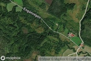 Engaelva