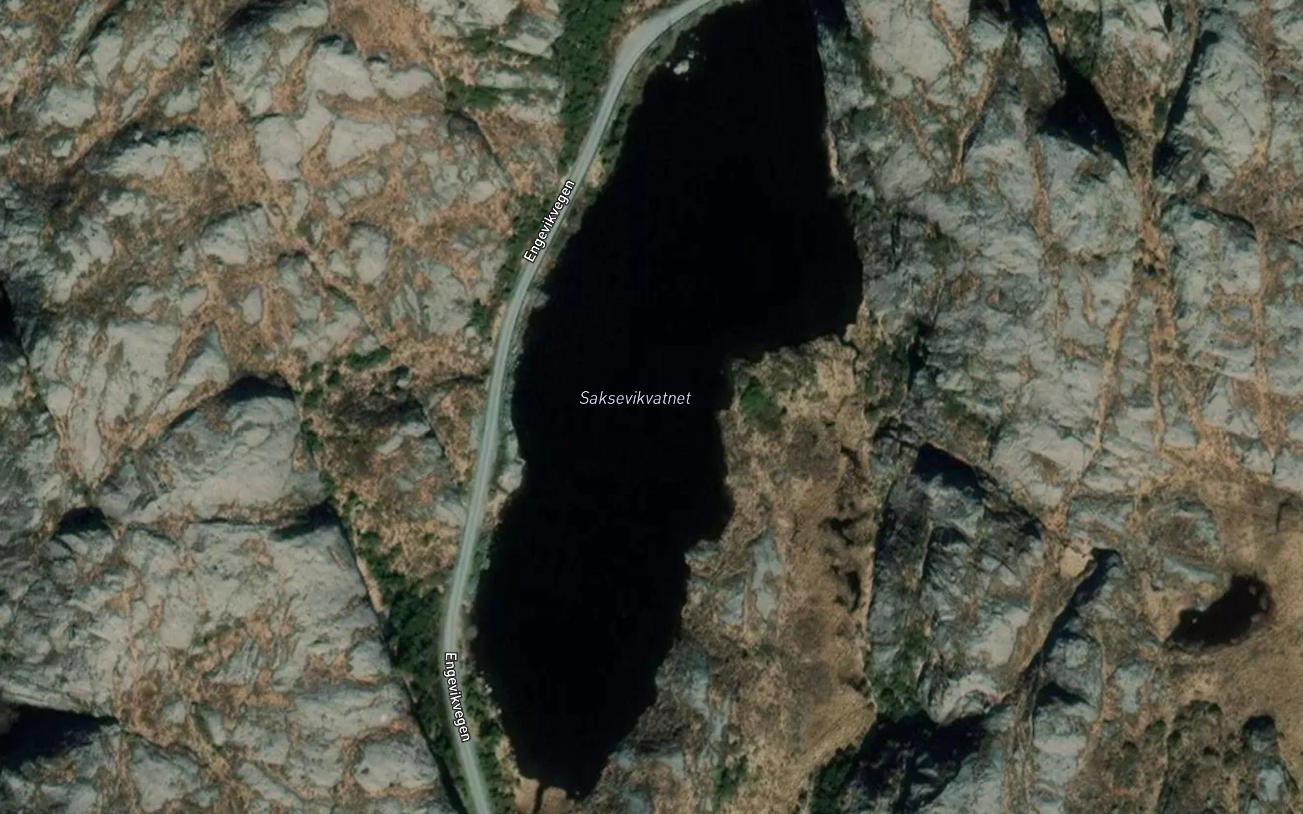 Saksevikvatnet