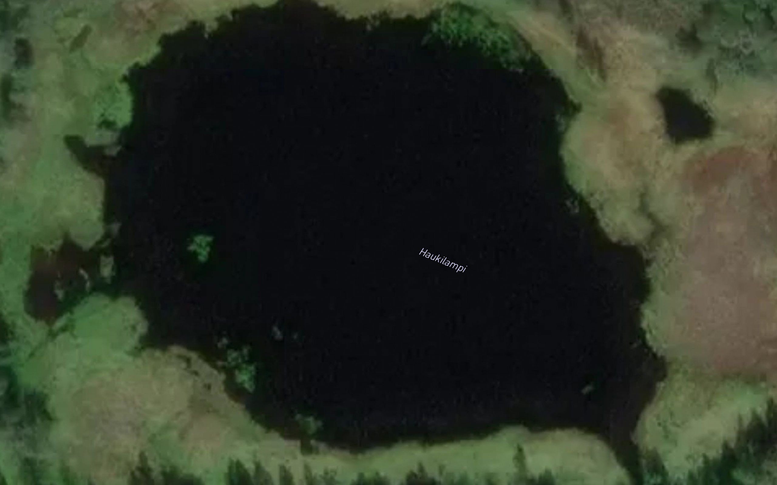 Haukilampi