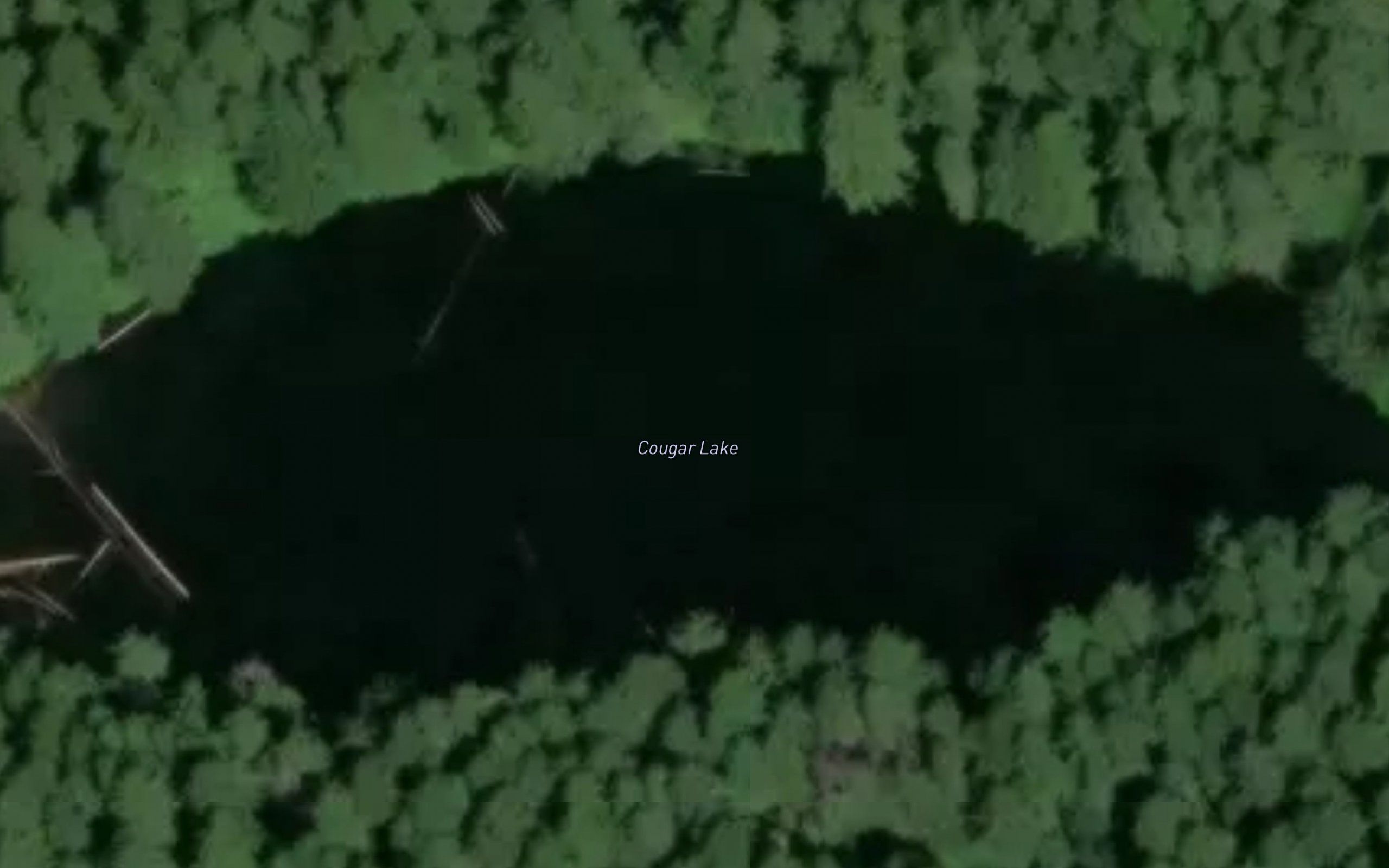 Cougar Lake