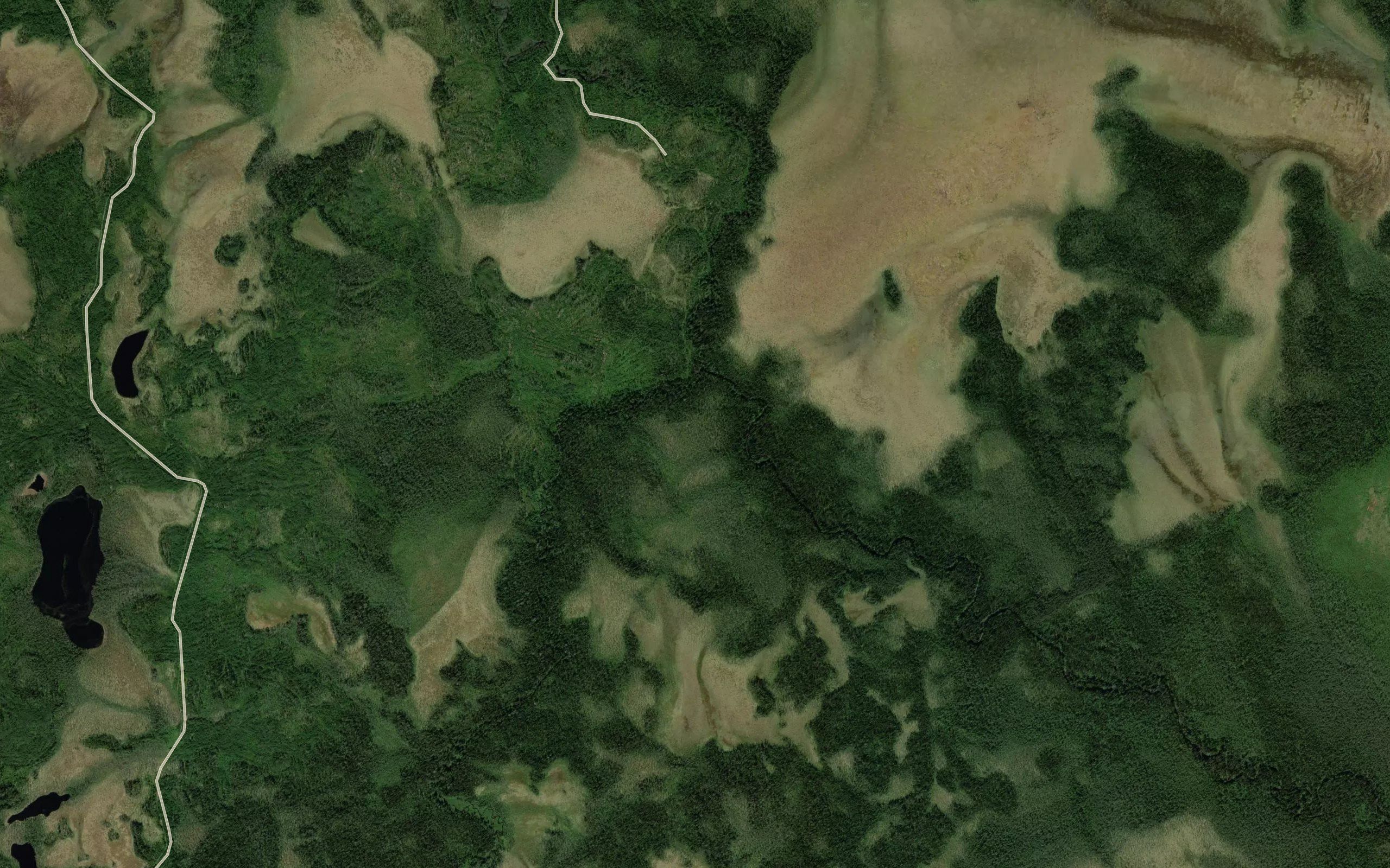 Sosnovets